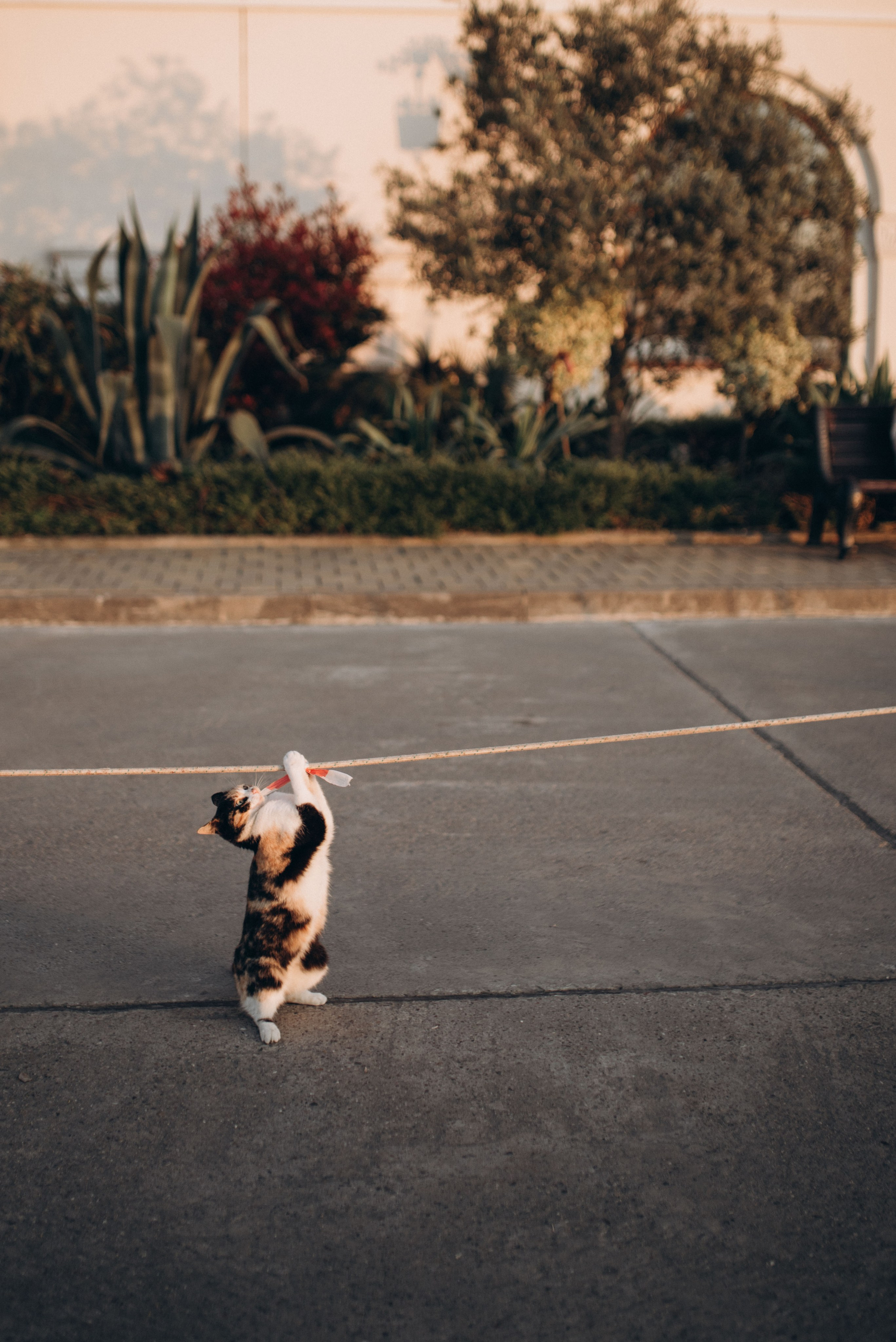 Индивидуальная фотосессия в Сочи, фотосъёмка для девушки. Фотограф в Сочи — Маргарита Поганова