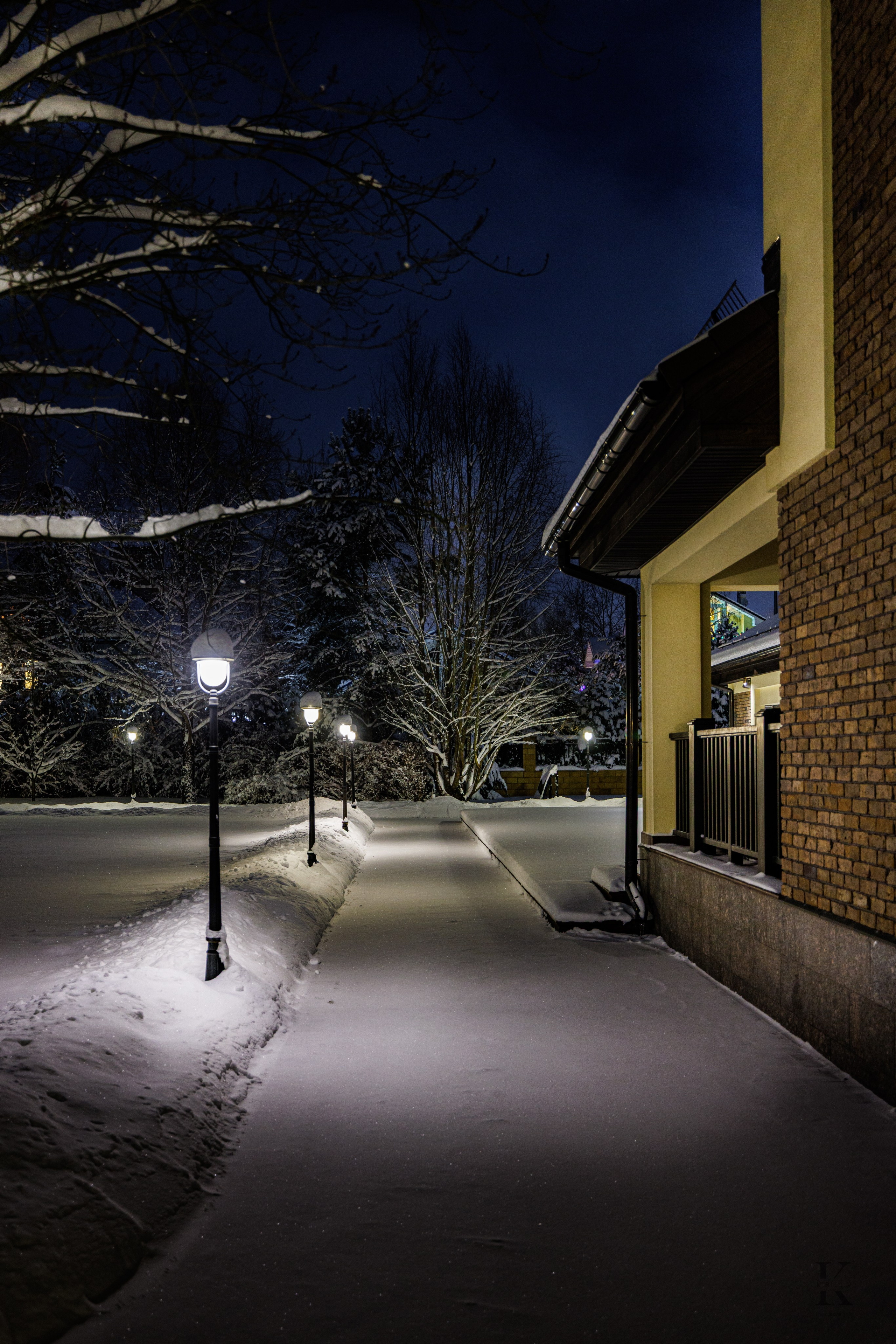 Природа 31 Декабря 2025 года. Клены. Фотографирую жизнь! Московский фотограф волонтер