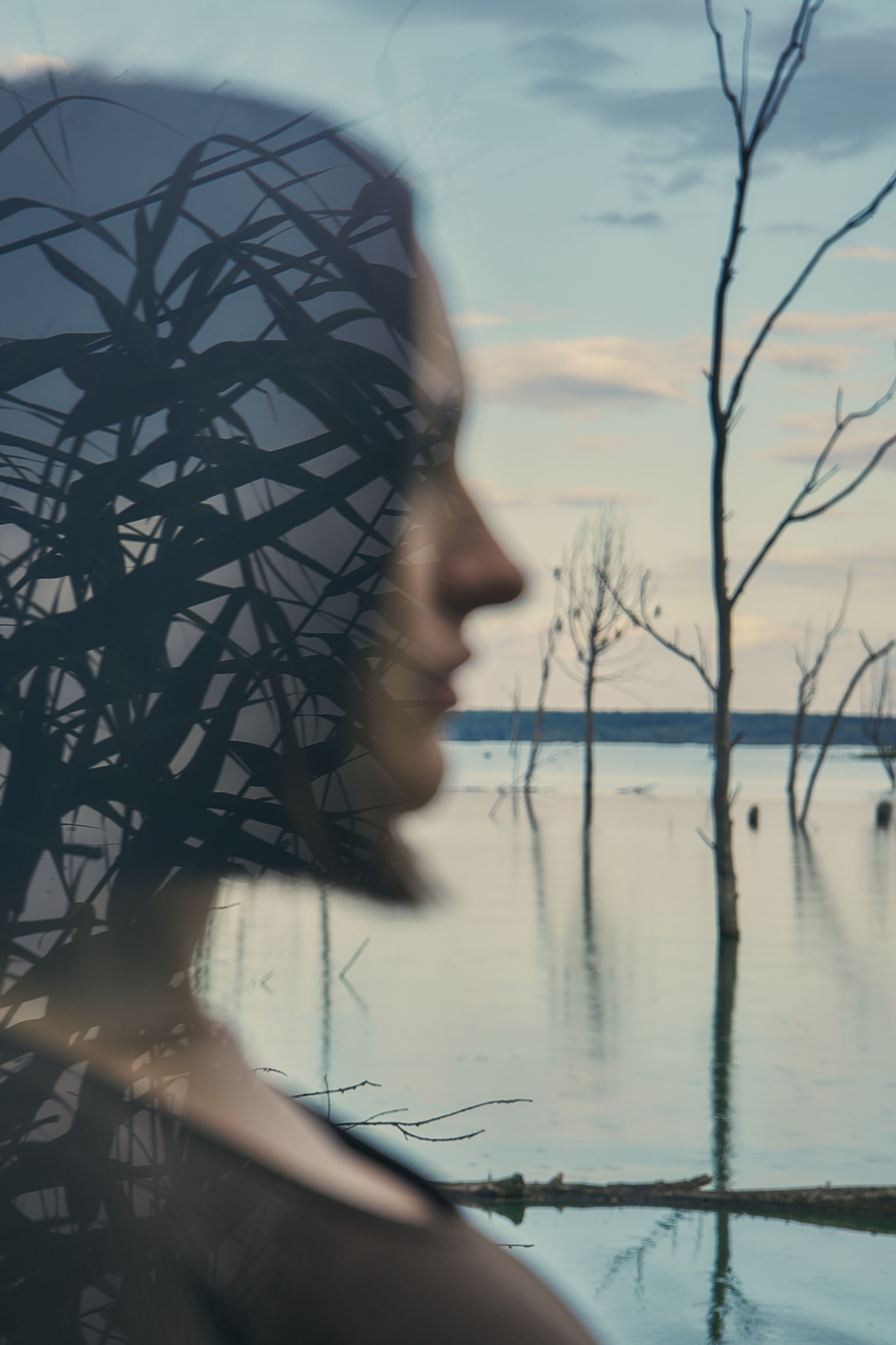 фотосессия самара, фотограф в самаре, фотосессия на природе, фотосессия ню, фотограф, заказать фотосъёмку, индивидуальная фотосессия самара, фотографии для интерьера, фотопостер