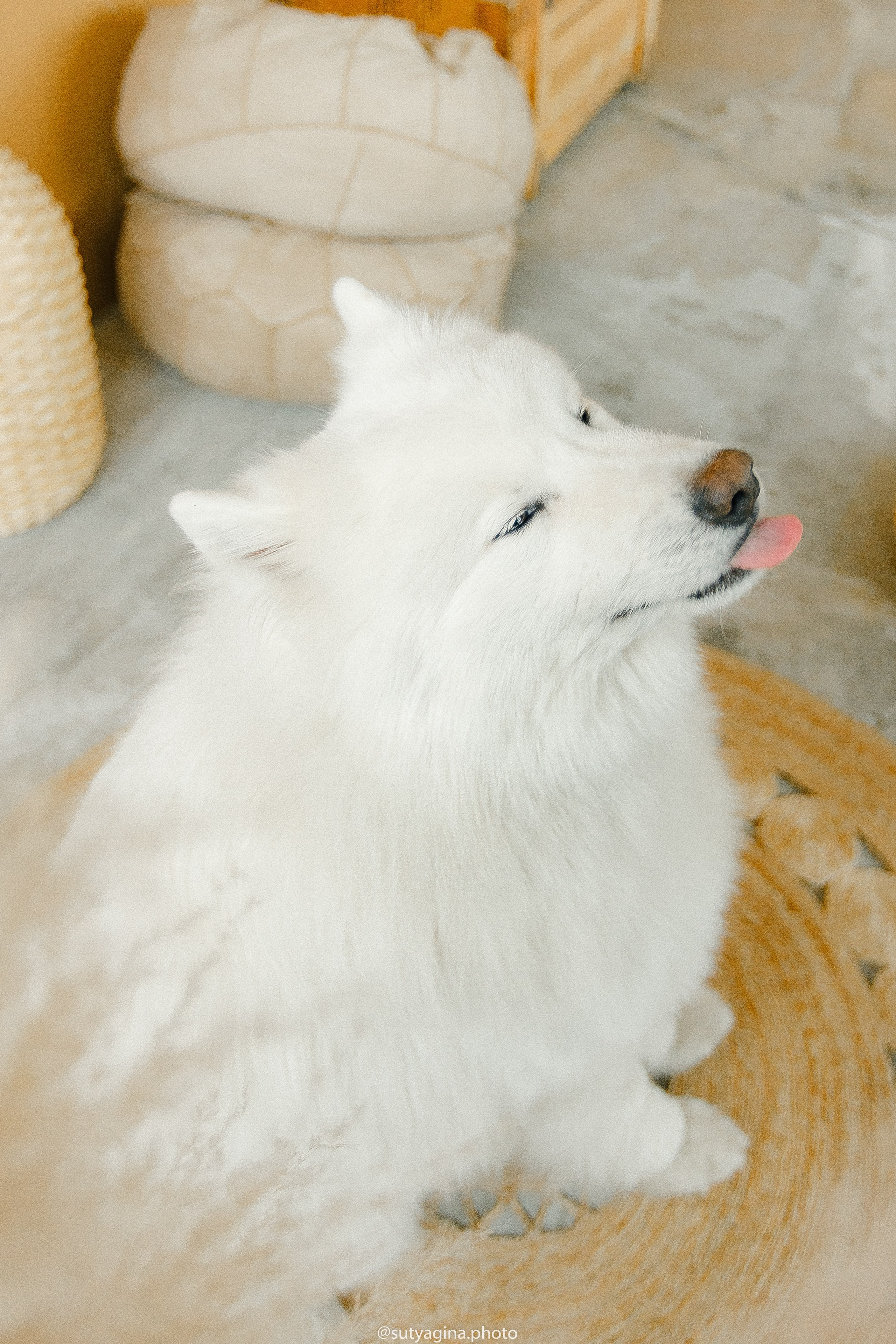 Самоед Мартин. Свадебный и женский фотограф