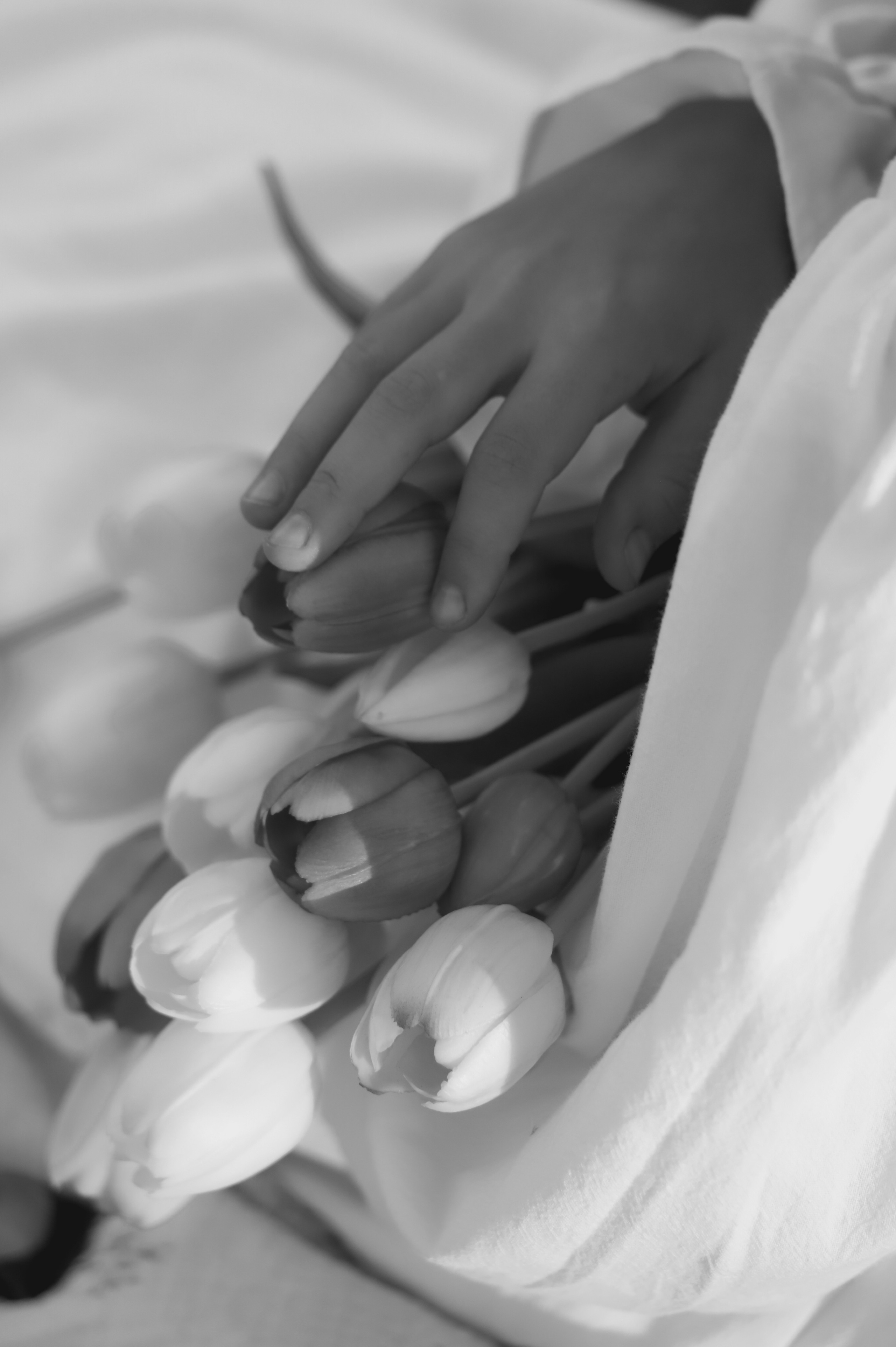 Стелла. Фотограф Москва и МО Анастасия Пясковская