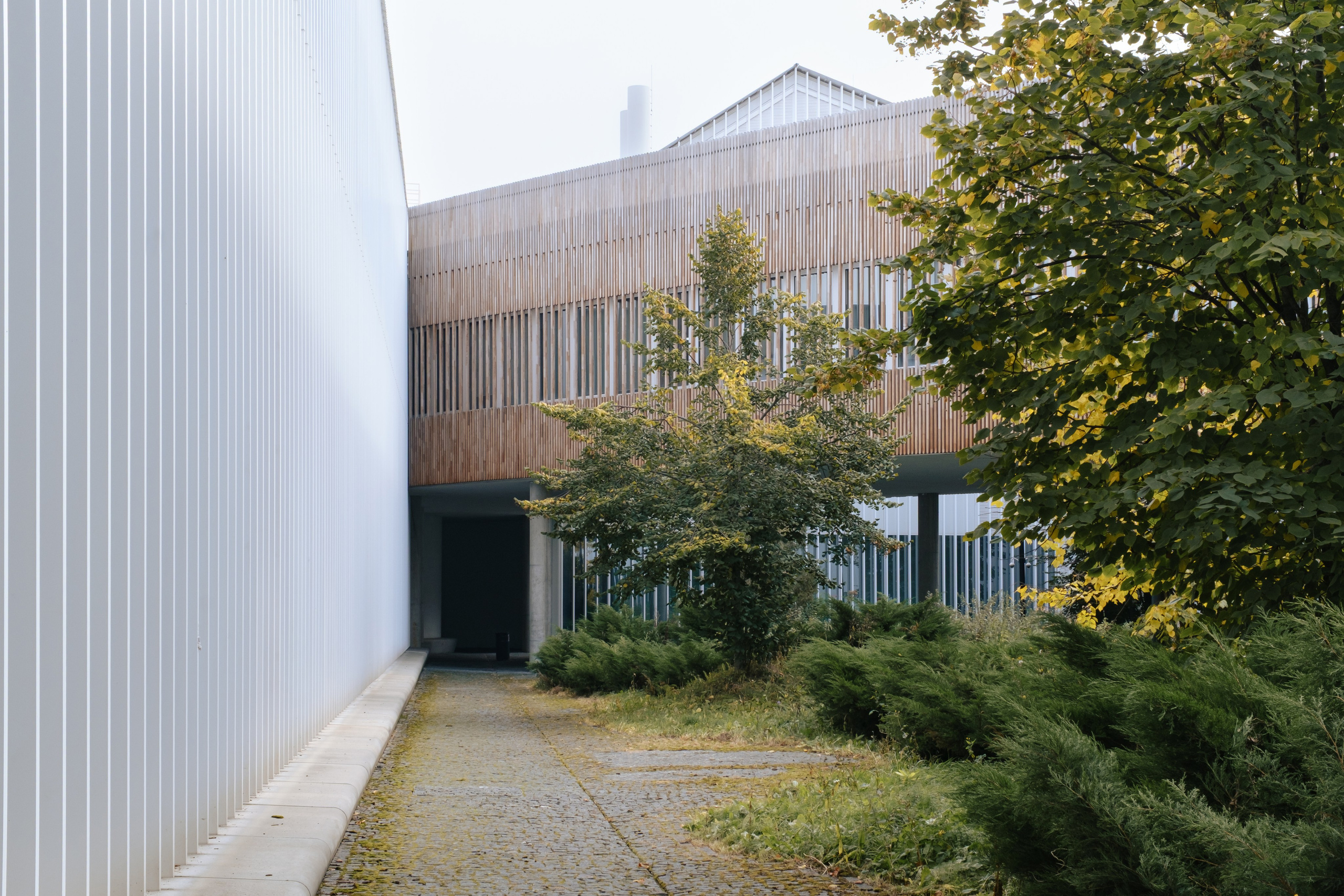 Сколтех, 2025. Фотограф и исследователь городской среды Ксения Русс