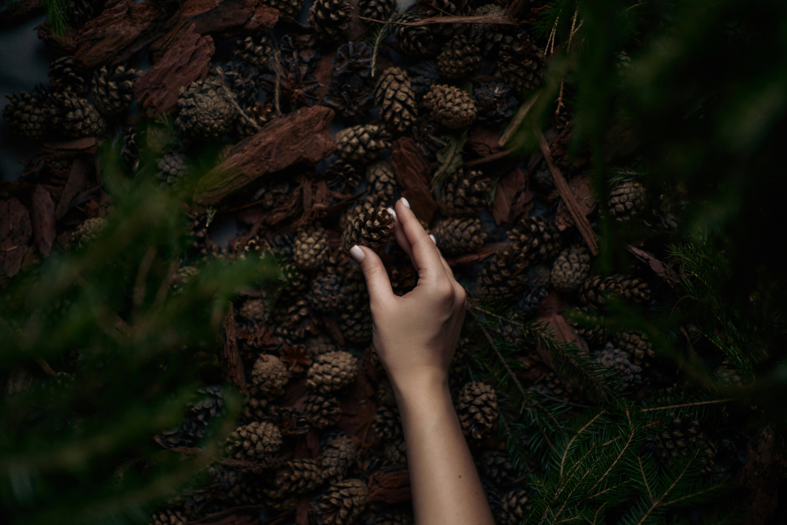 Spa&Resort. Mayskaya photography