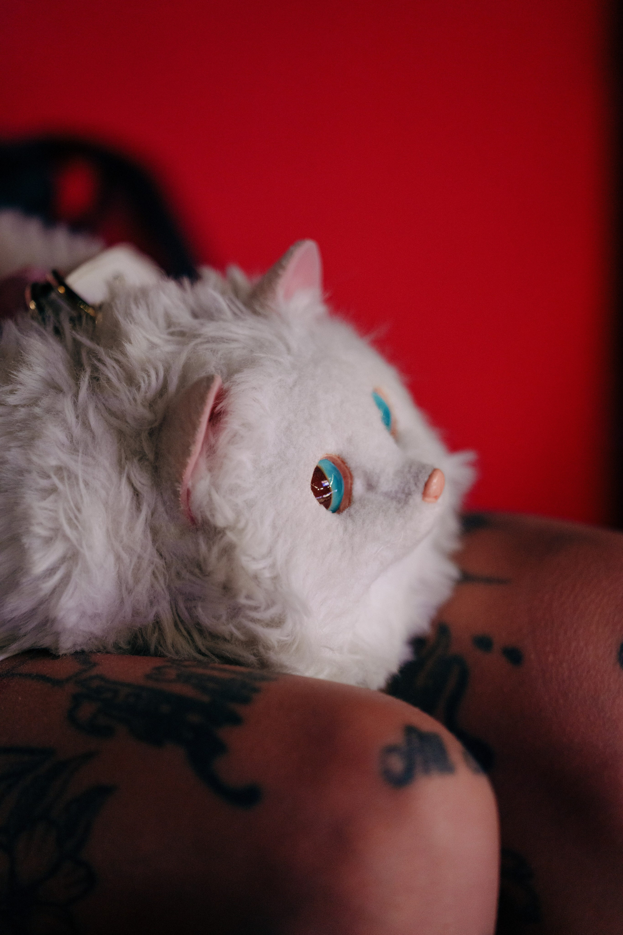 ПОСТ РОСТ ЯНДЕКС. Репортажный фотограф Москва Сергей Дружинин