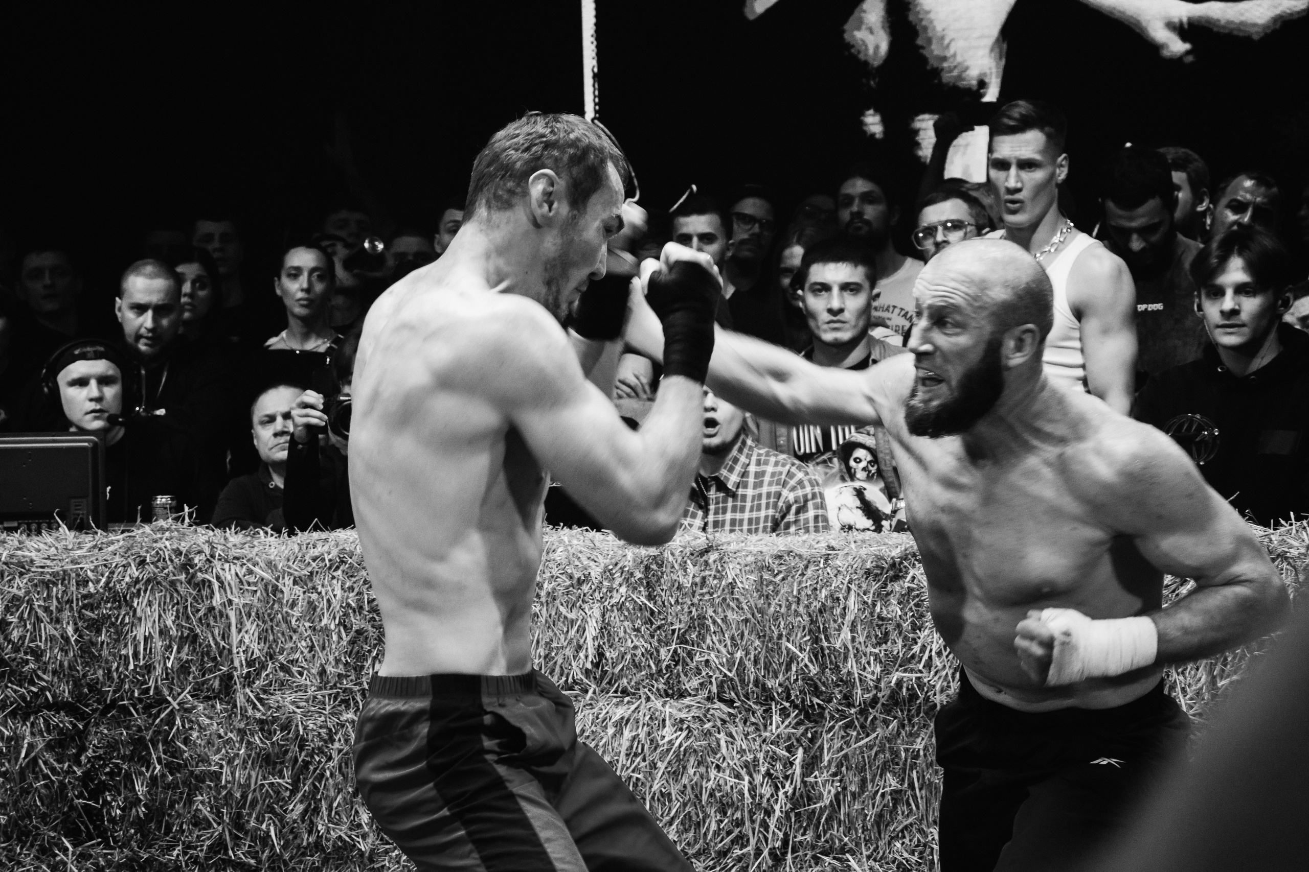 Кулачные бои TopDog. Анастасия Тен