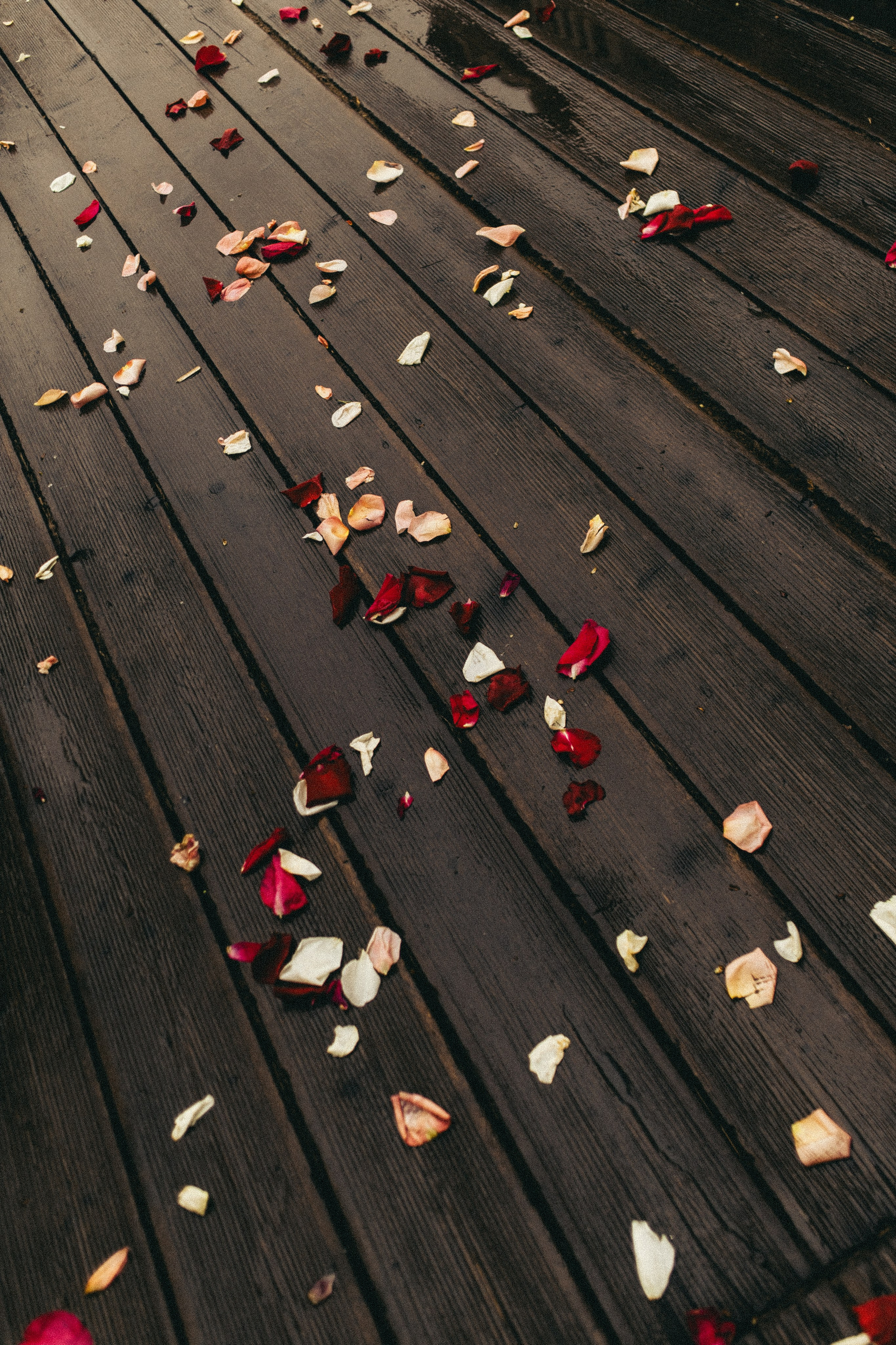 Русская рыбалка. Фотограф Анастасия Платонова | Санкт-Петербург