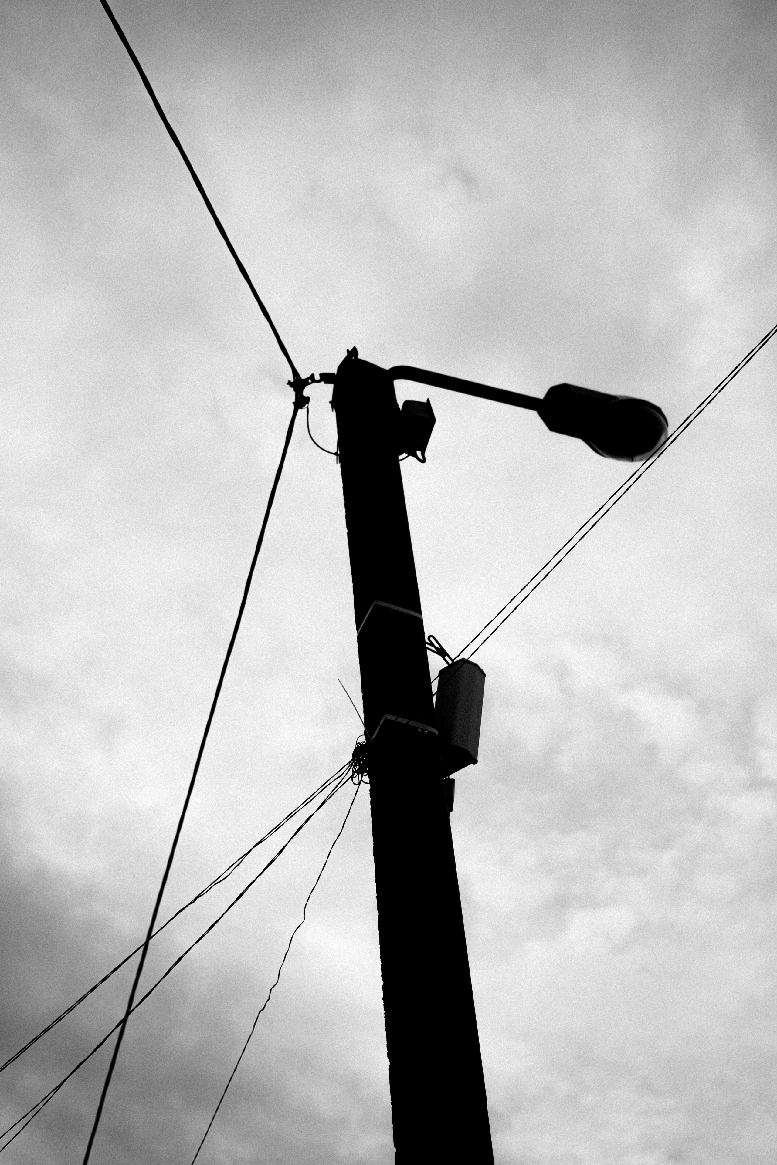 Лес. Veronika Popadeikina Photographer