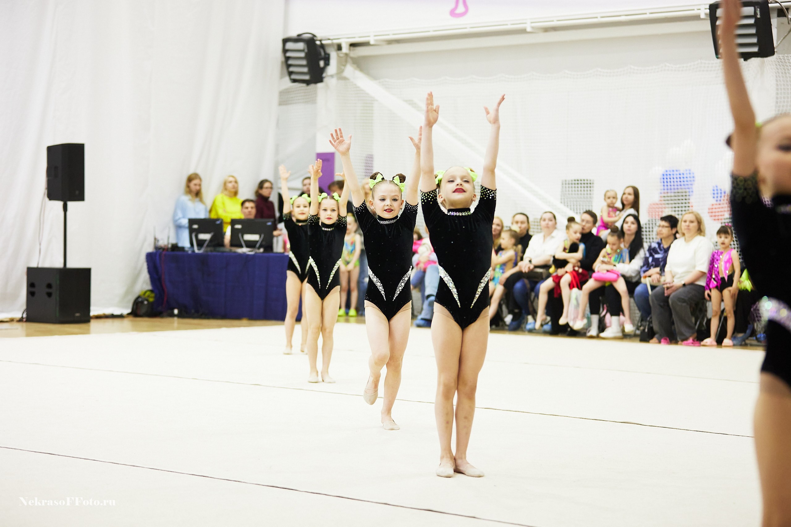 Художественная гимнастика. Спортивный фотограф Некрасов Денис
