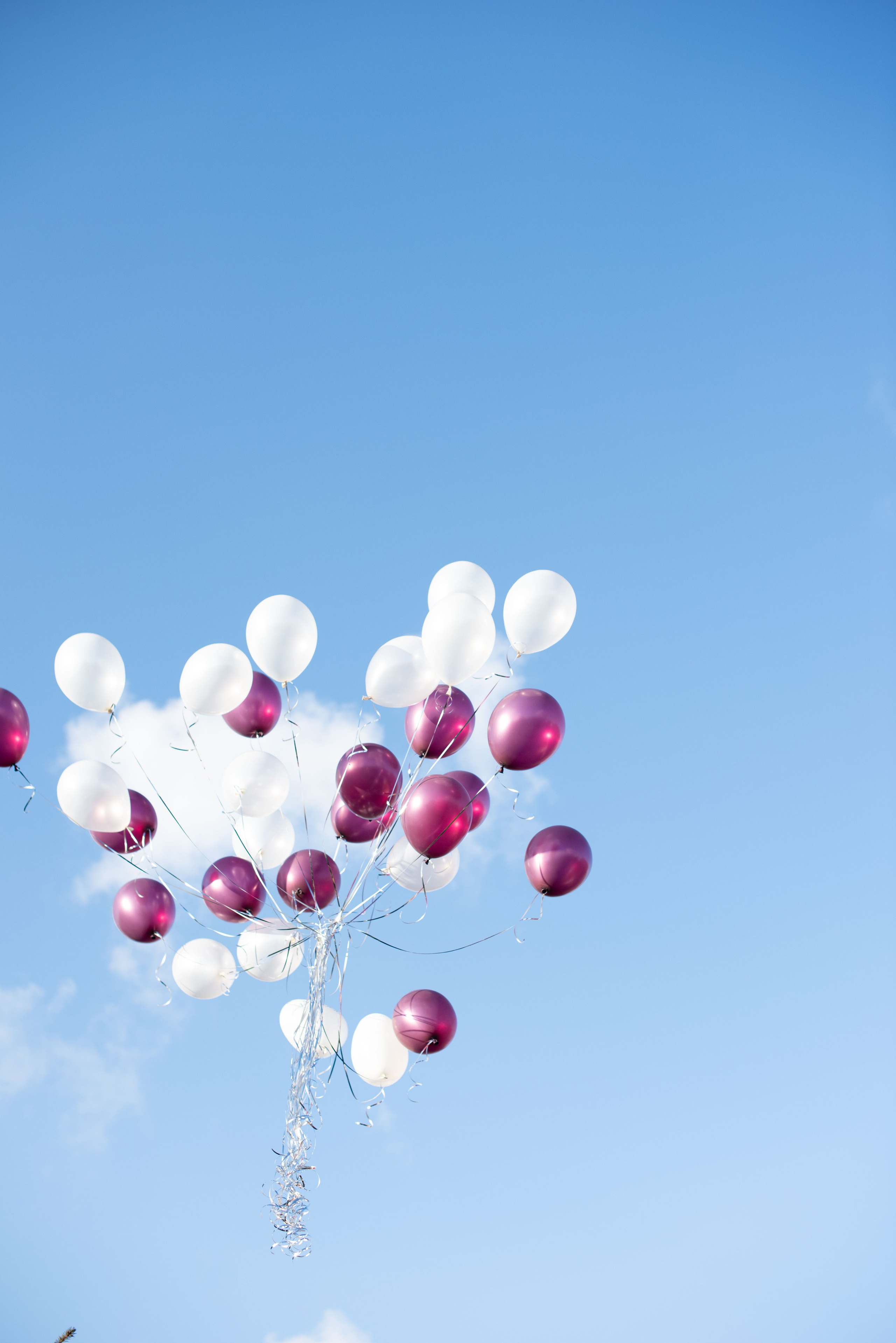 04.02.2025 Дмитрий и Виктория. Женский фотограф в Москве и МО