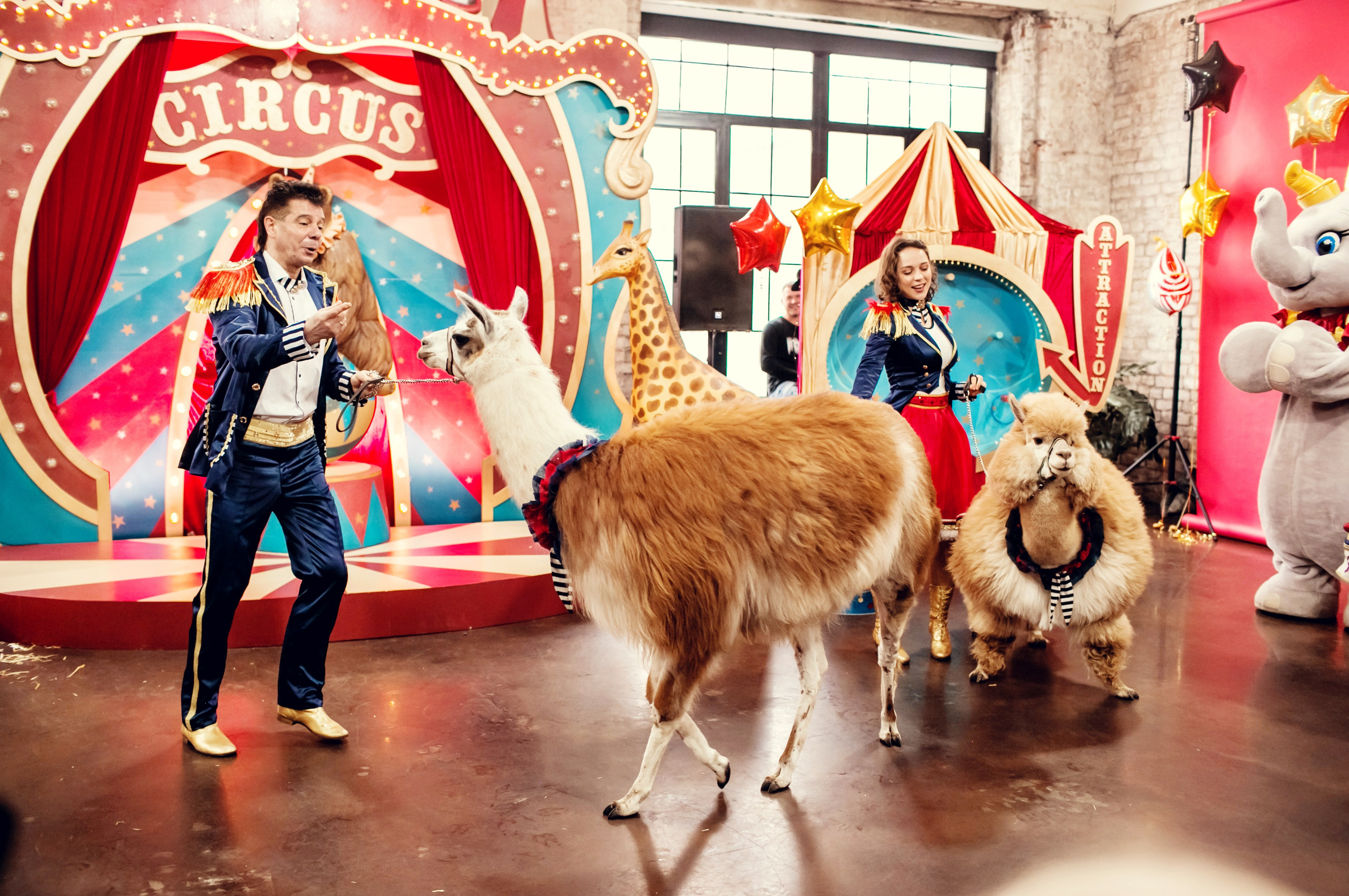 Насте 5 лет. Детский и семейный фотограф в Москве Анна Ипатьева