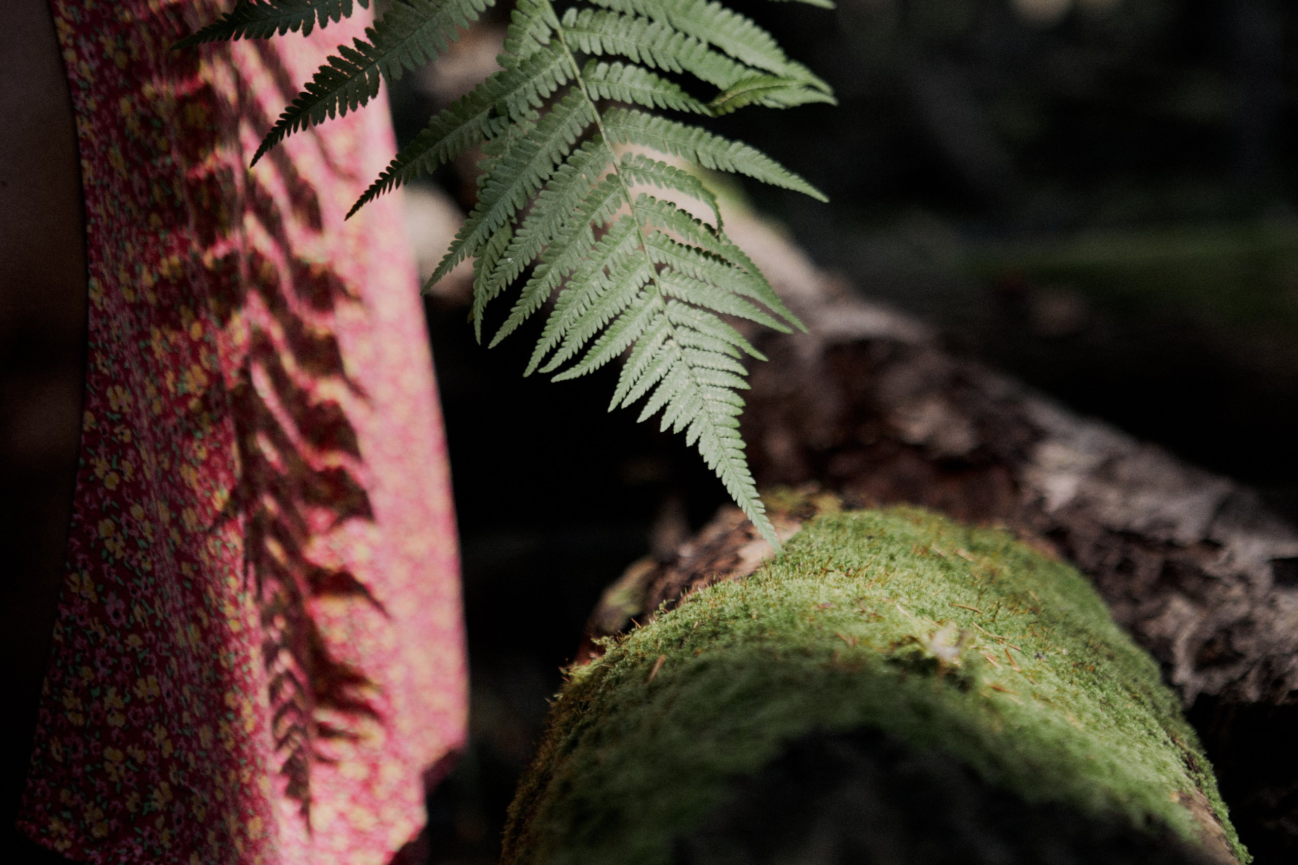 Masha. Portrait, family and pet photographer in Cyprus, Ksenia Bourdelle