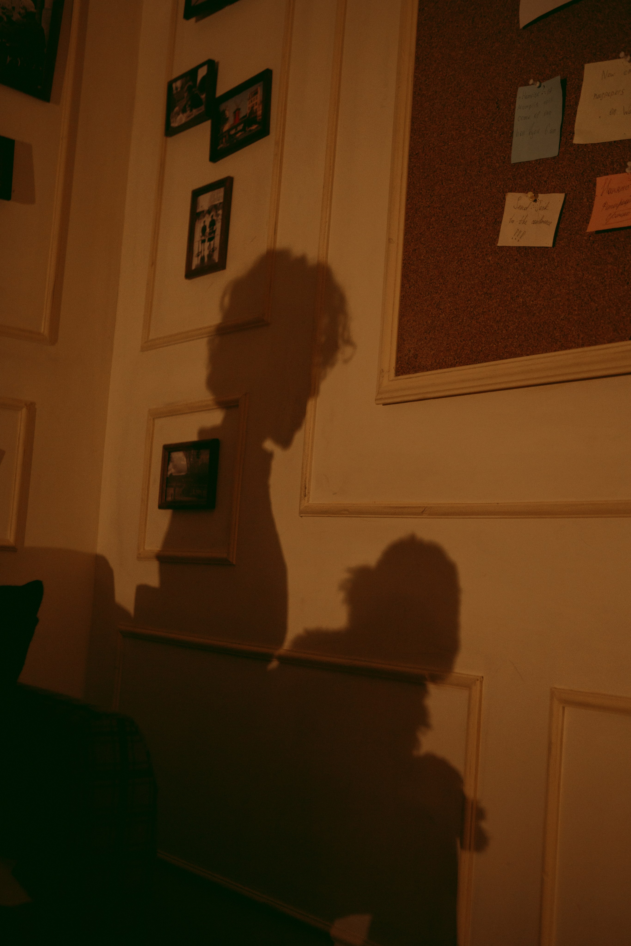 A cinematic daydream in the spirit of Wes Anderson’s style. Portrait, family and pet photographer in Cyprus, Ksenia Bourdelle