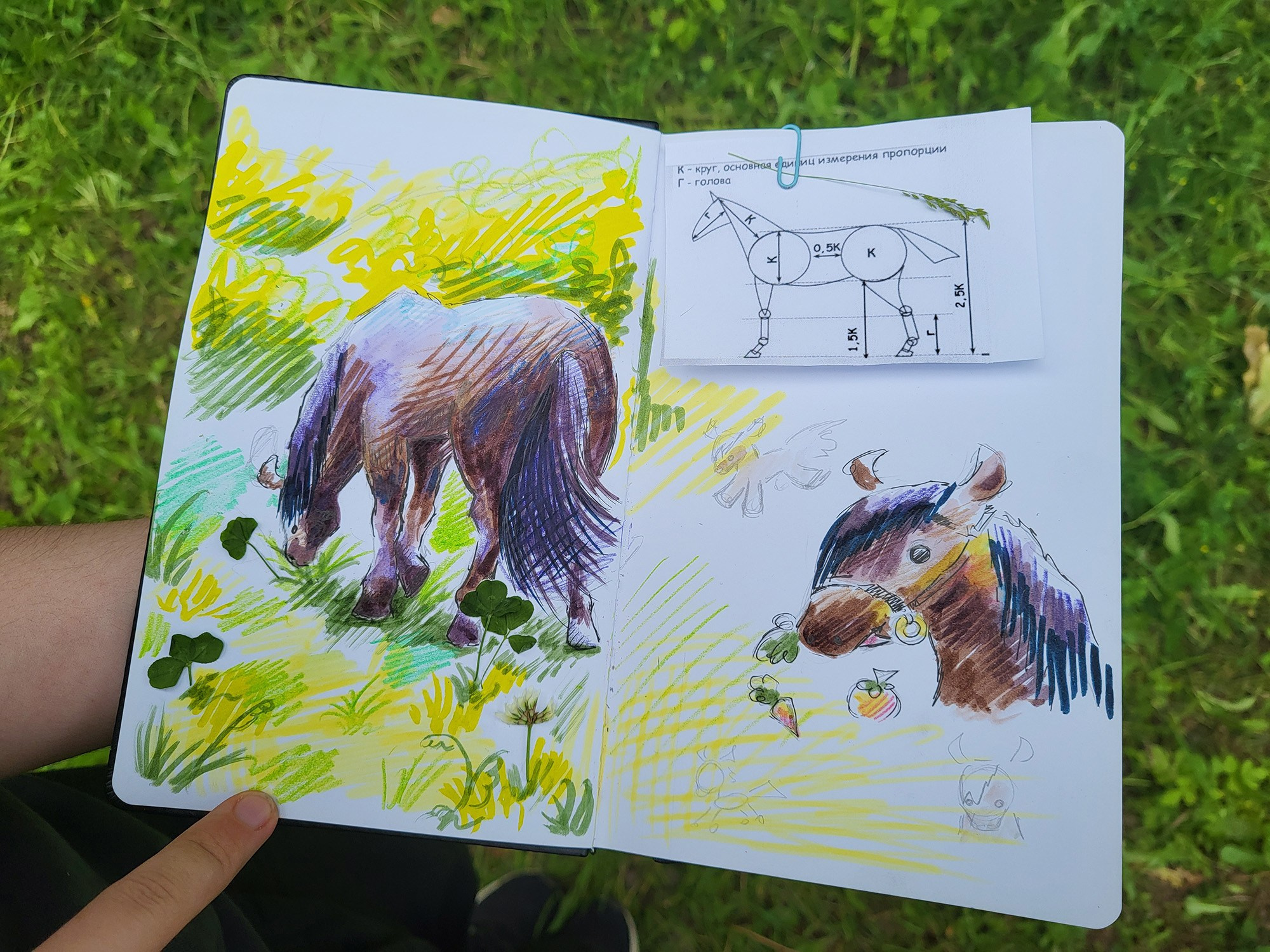 Занятия по рисованию для детей в Южном Бутово, Москва
