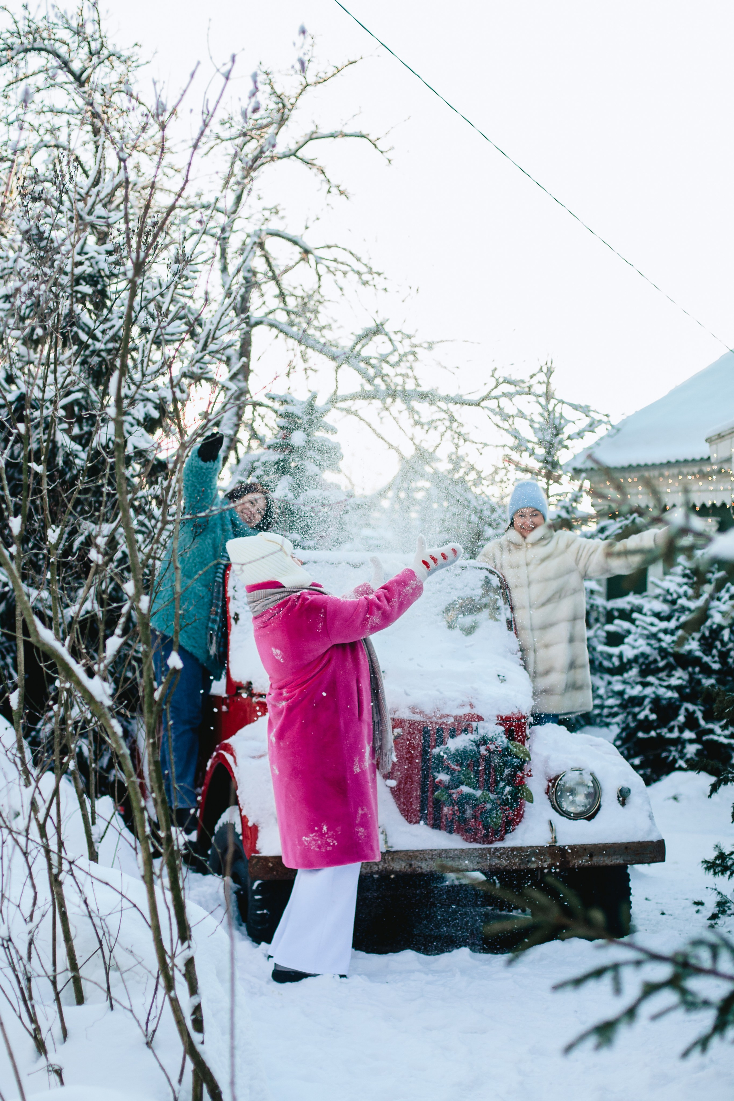 Зингер дача. Фотограф-анималист Татьяна Степанова