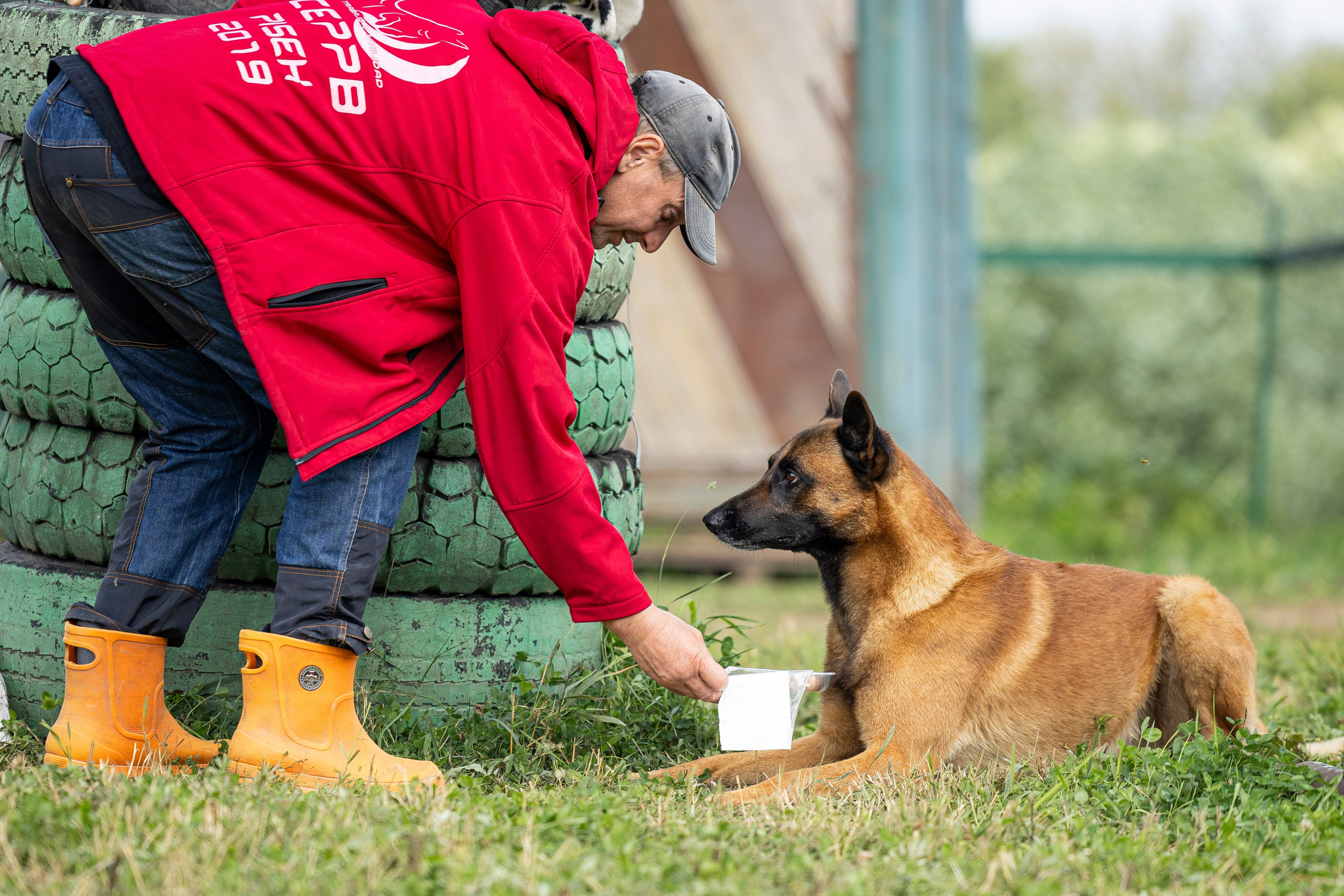 Соревнования по Мондьорингу г. Вологда 10-11.08.2024. Фотограф-анималист Анна Маринич