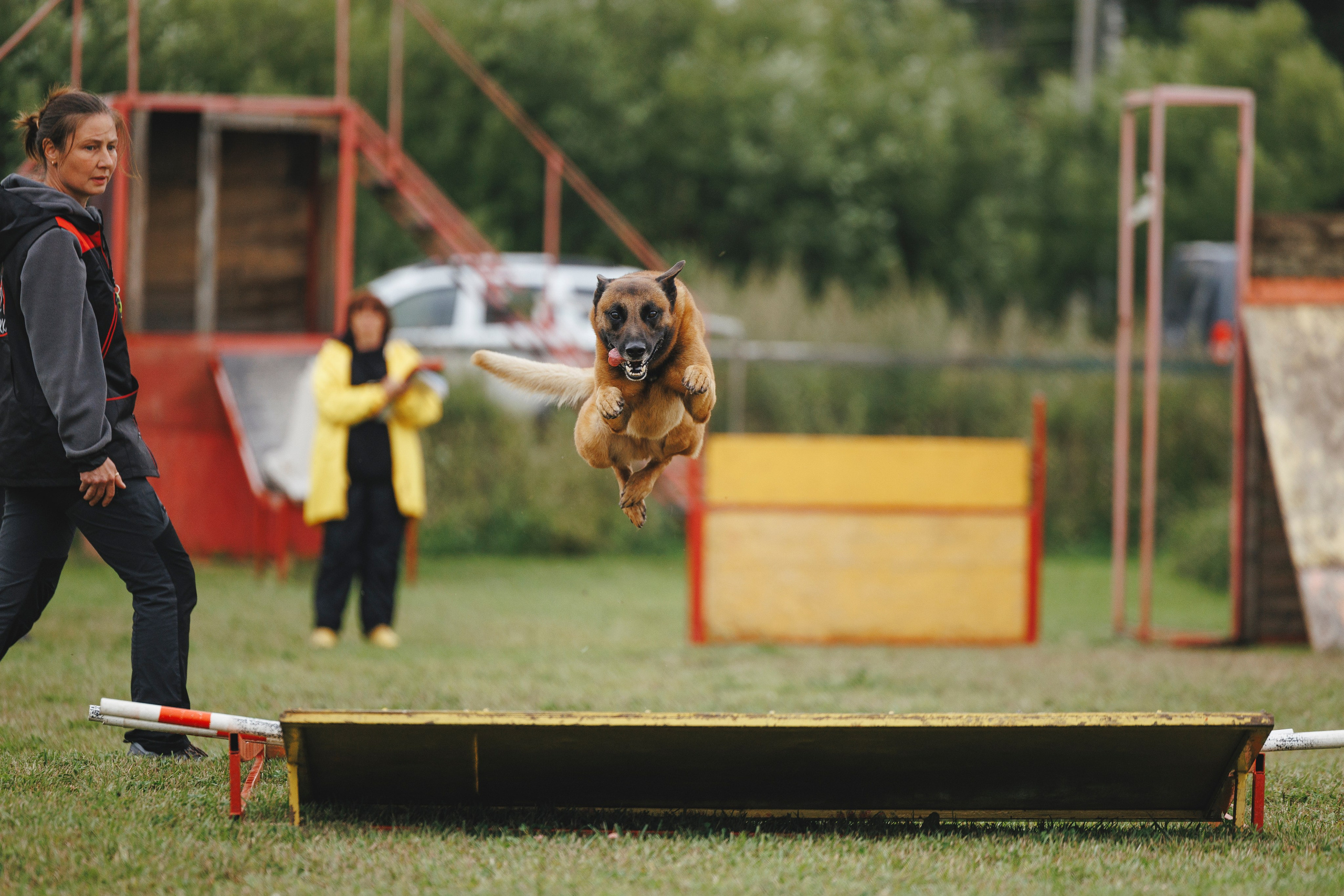 08.08.25-10.08.25 ЧР по мондьорингу г. Вологда. Фотограф-анималист Анна Маринич