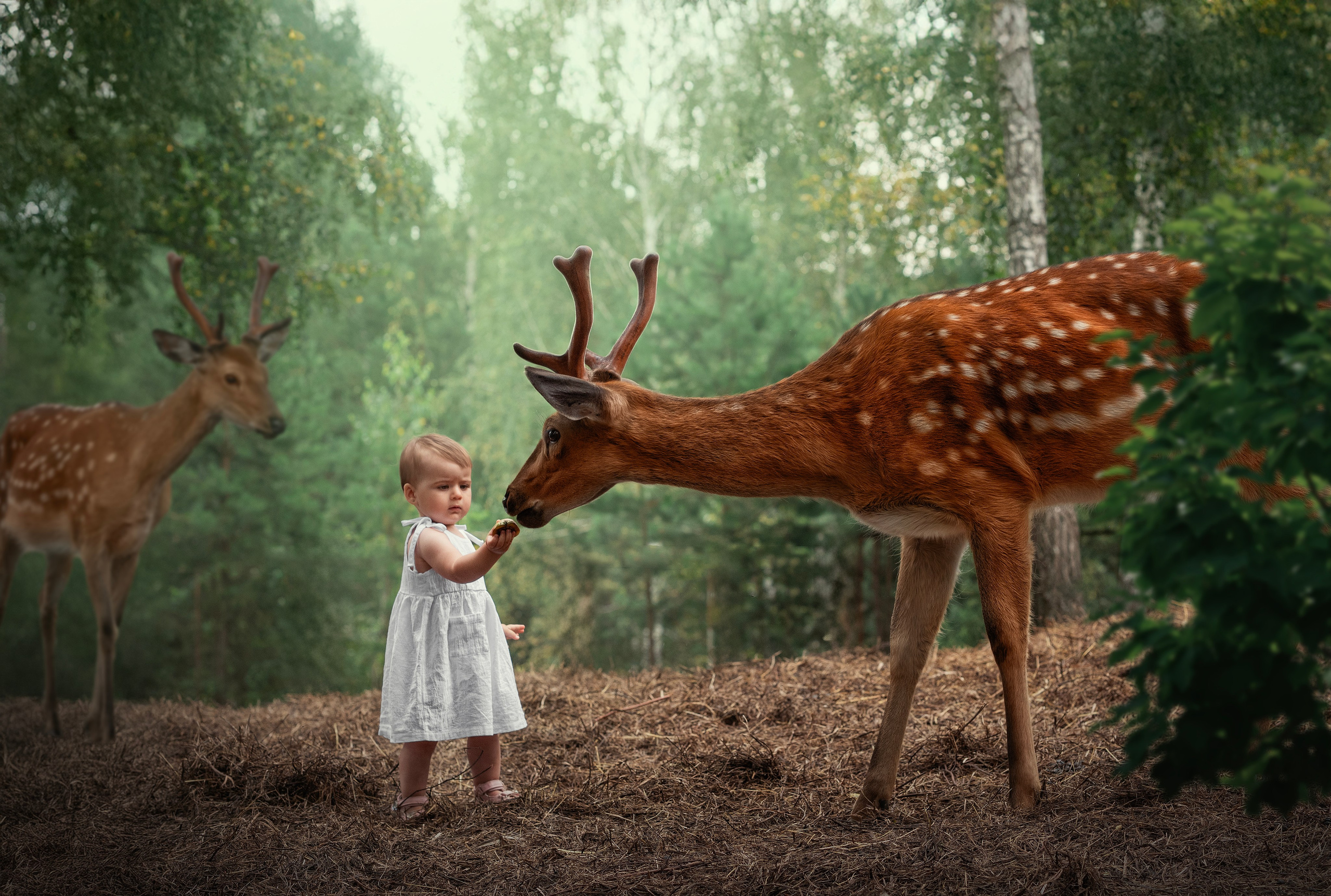 ОЛЕНИ. Семейный фотограф Екатеринбург Лора Мур