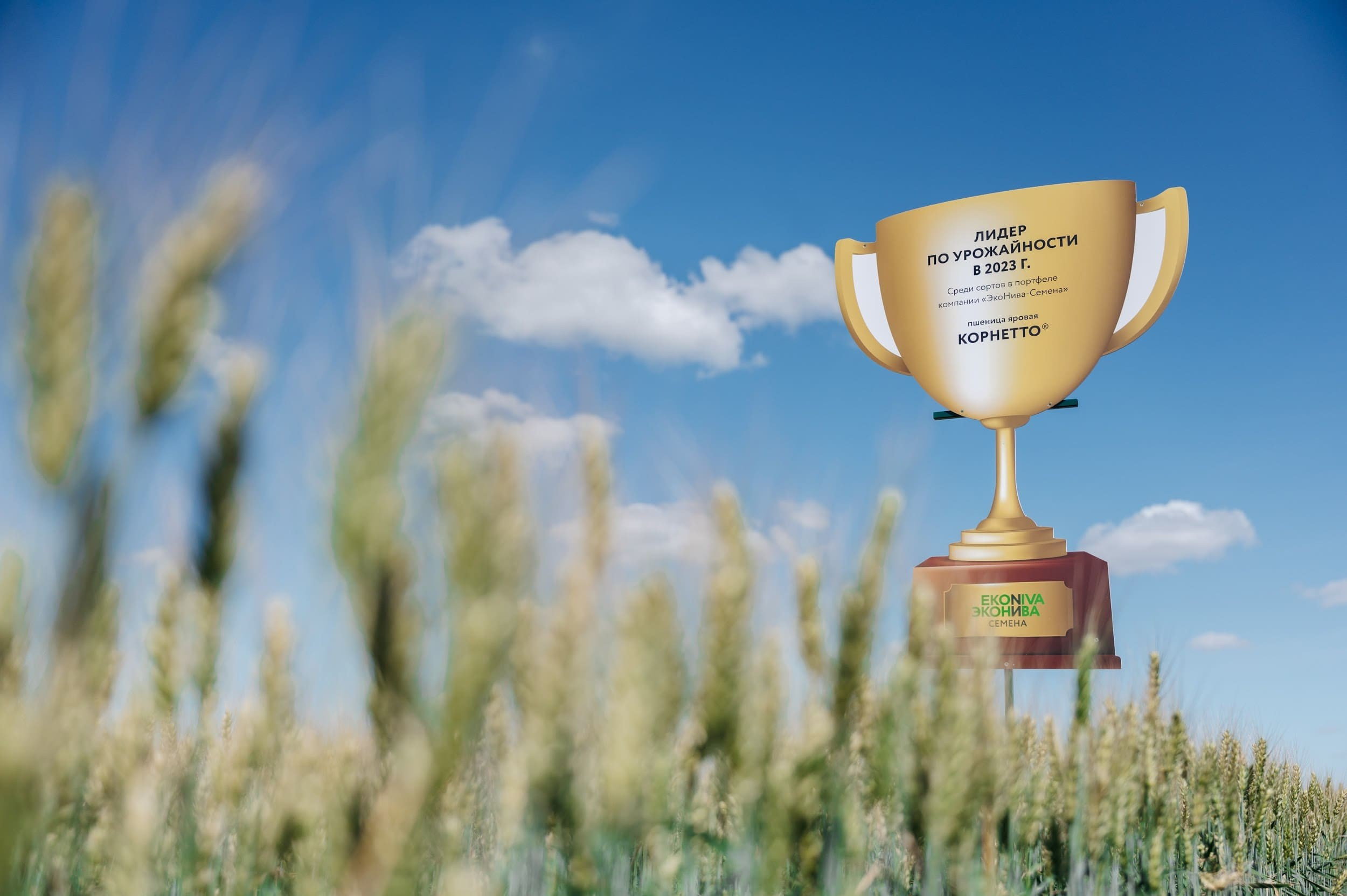 ЭКОНИВА. Владимир Дьяконов — Индустриальный и репортажной фотограф в России