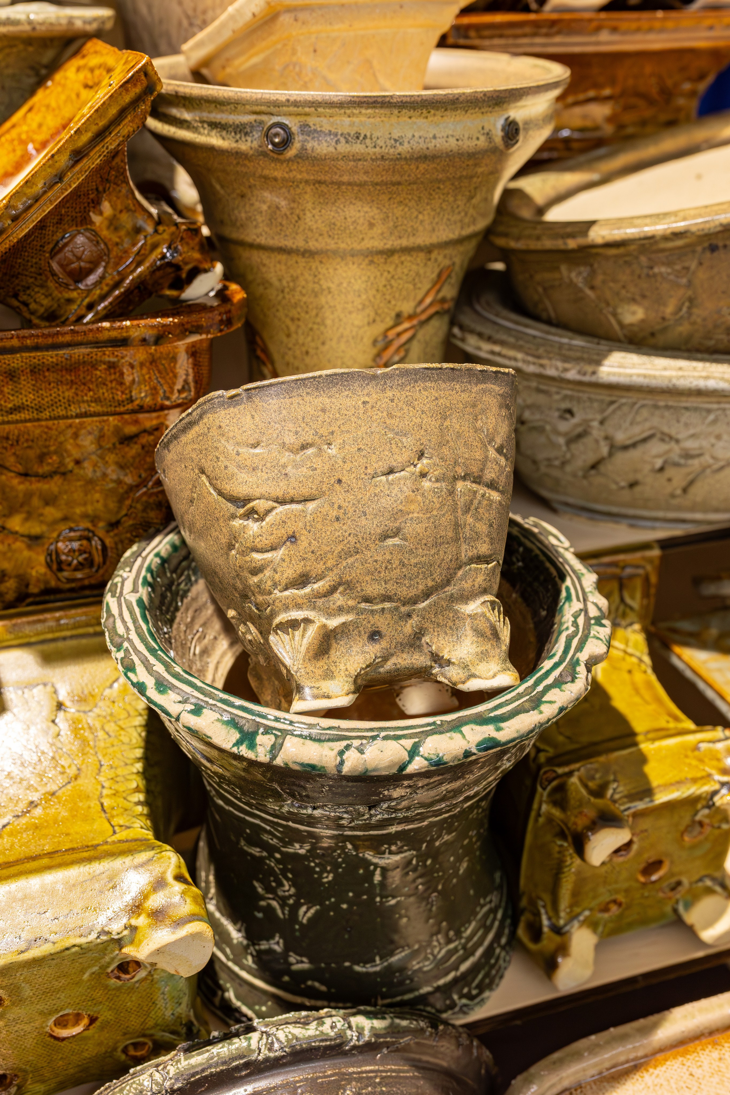 Орхидиум сентябрь 2025. Александра Куликова фотограф, Москва