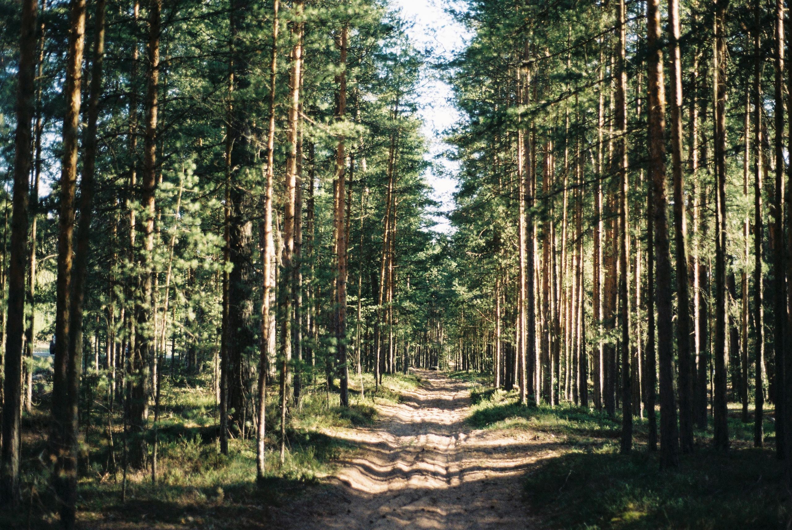 Film. Ruslan UI Dev Page