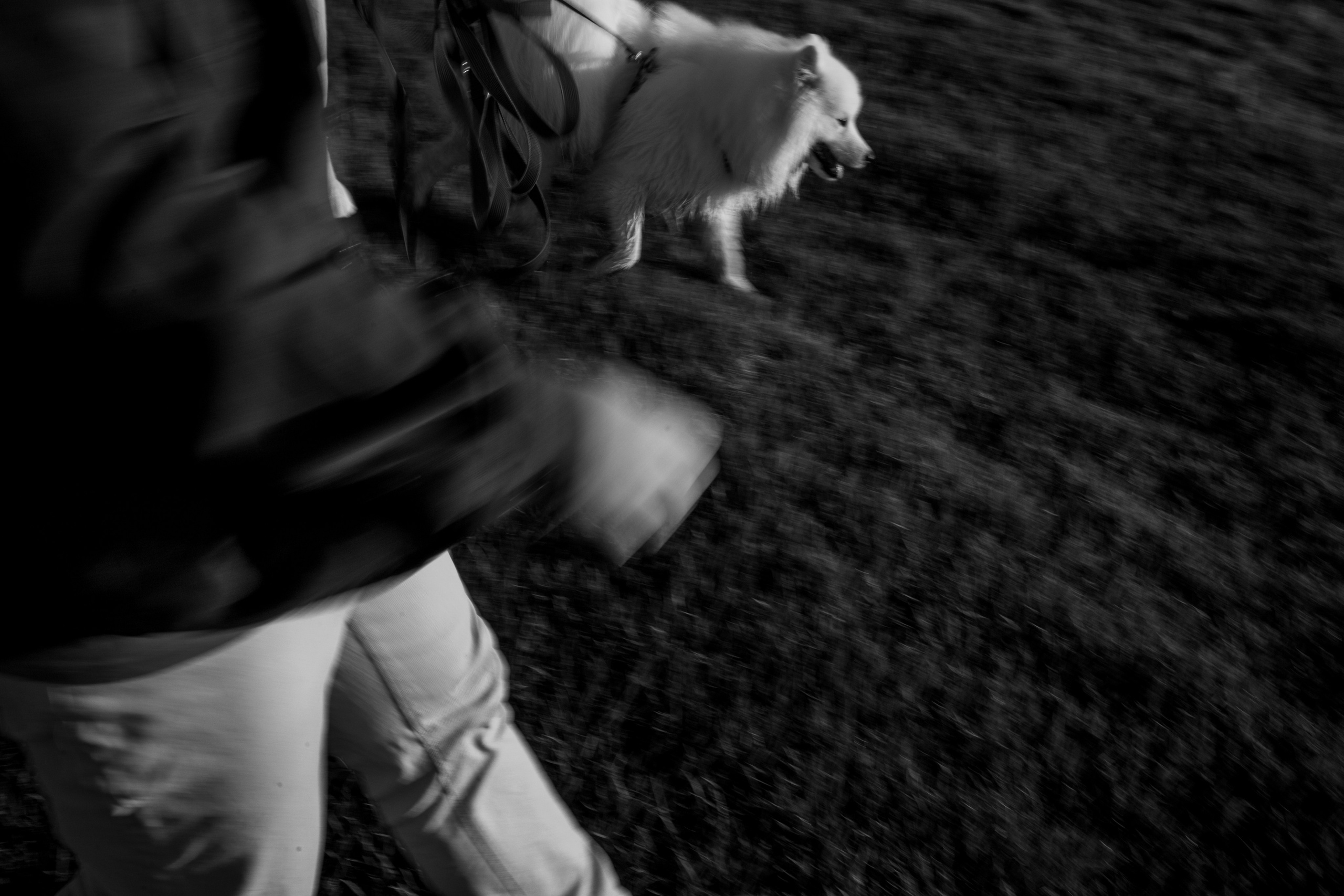 Танго и его семья. Фотограф — Анималист | Санкт-Петербург