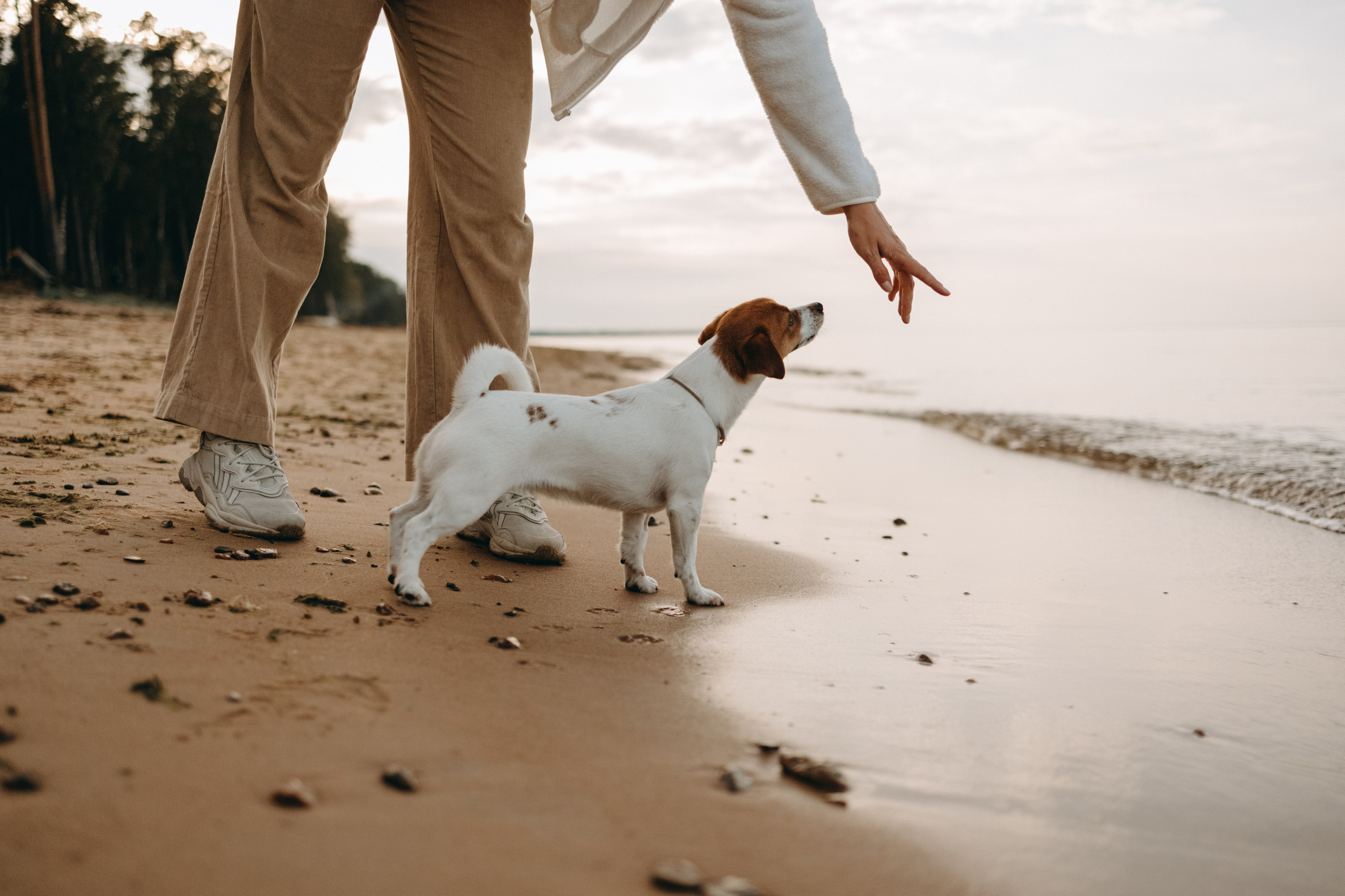 Лея и ее семья. Фотограф — Анималист | Санкт-Петербург