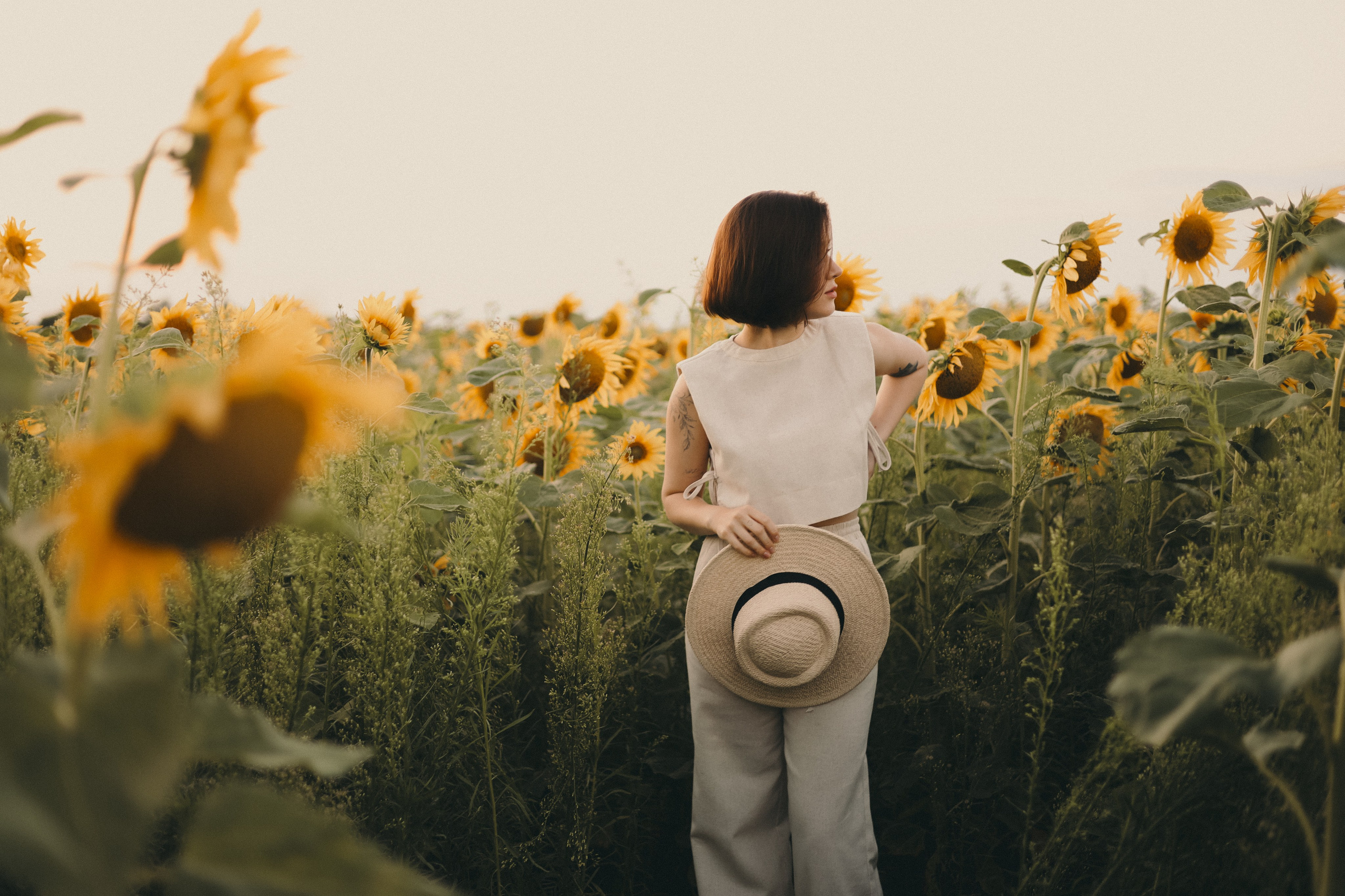 Владислава | Подсолнухи. Фотограф Мария Лаенко