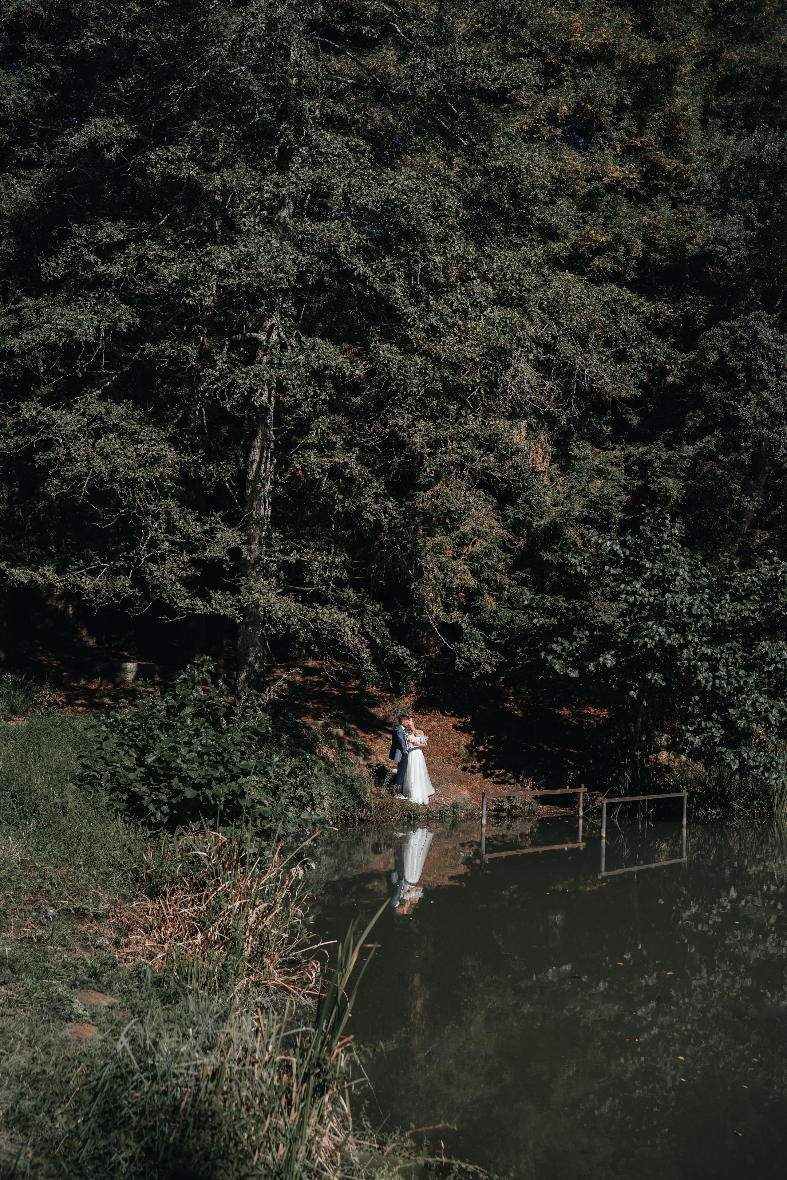 Свадьба Дмитрия и Алёны. Главная