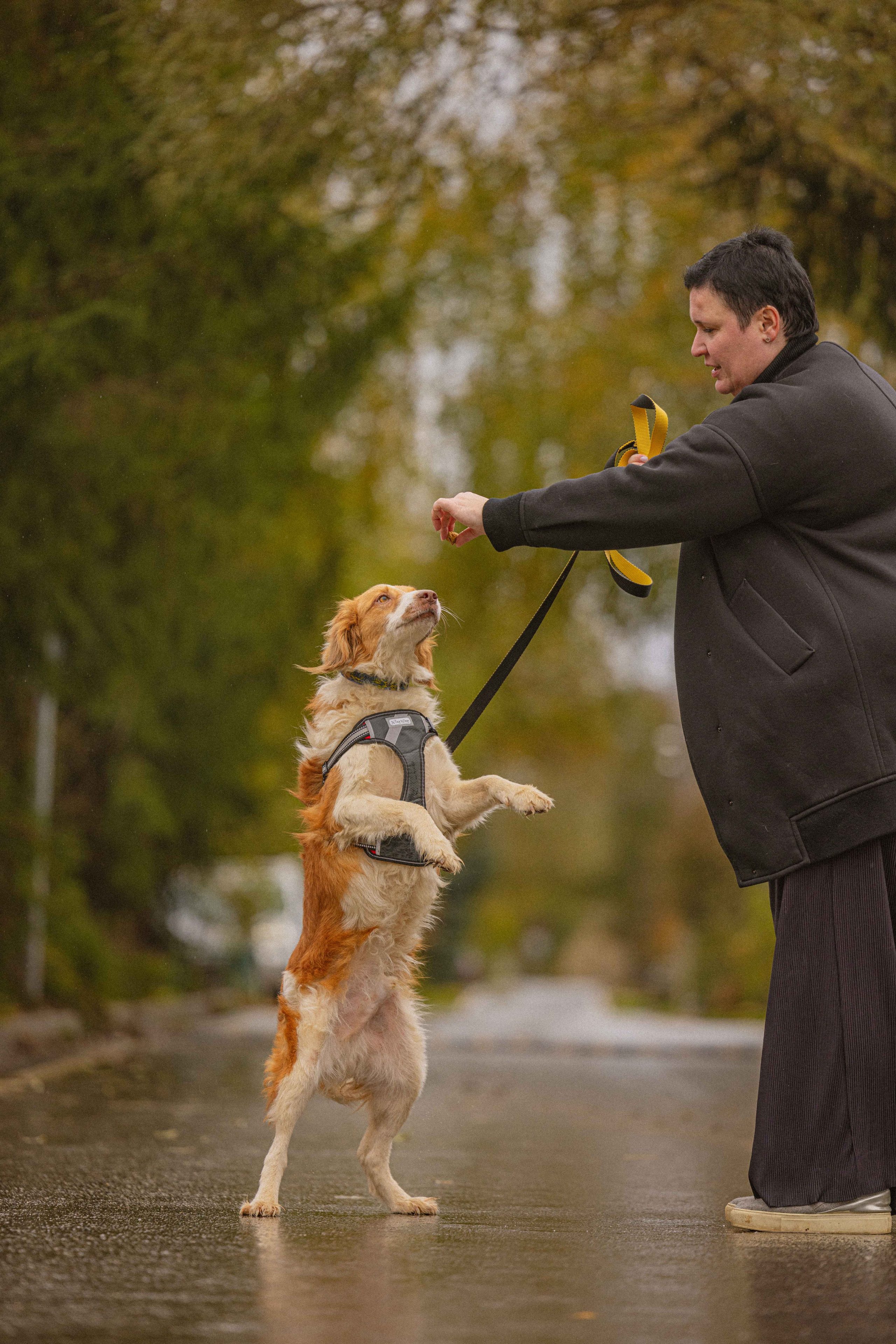 Передержка. Фотограф-анималист в Москве Лера Черноног