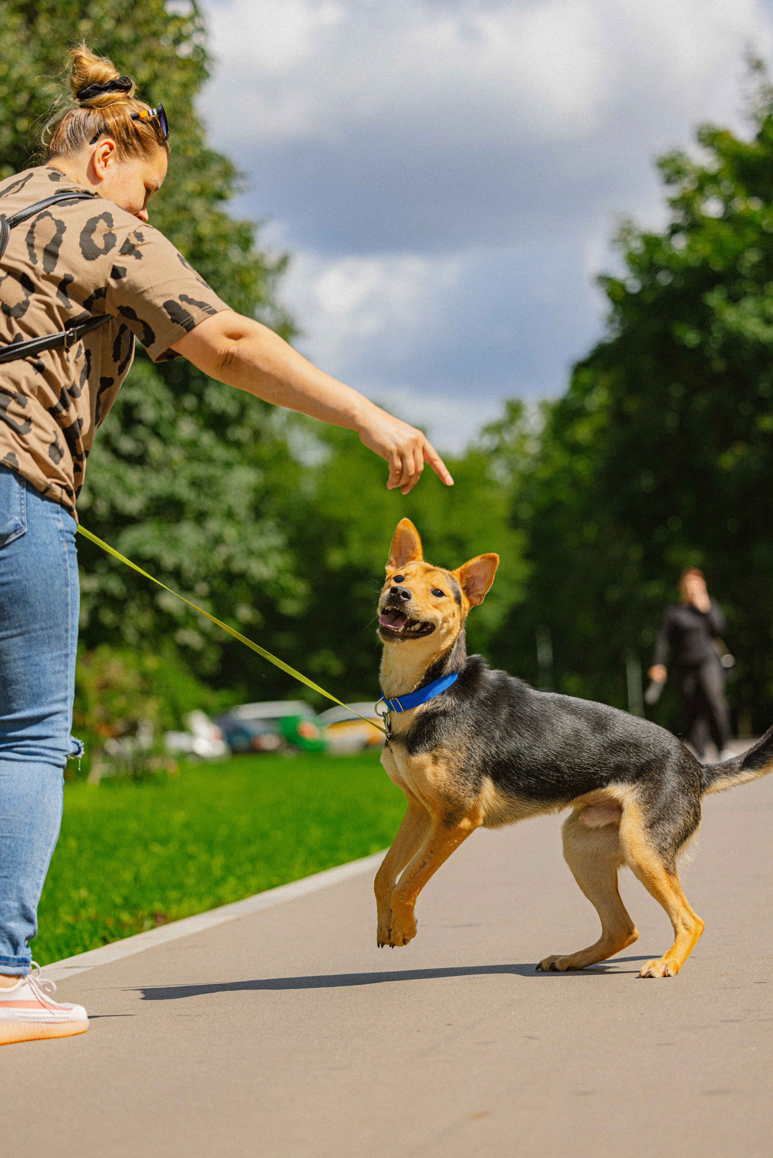 Джеки. Фотограф-анималист в Москве Лера Черноног