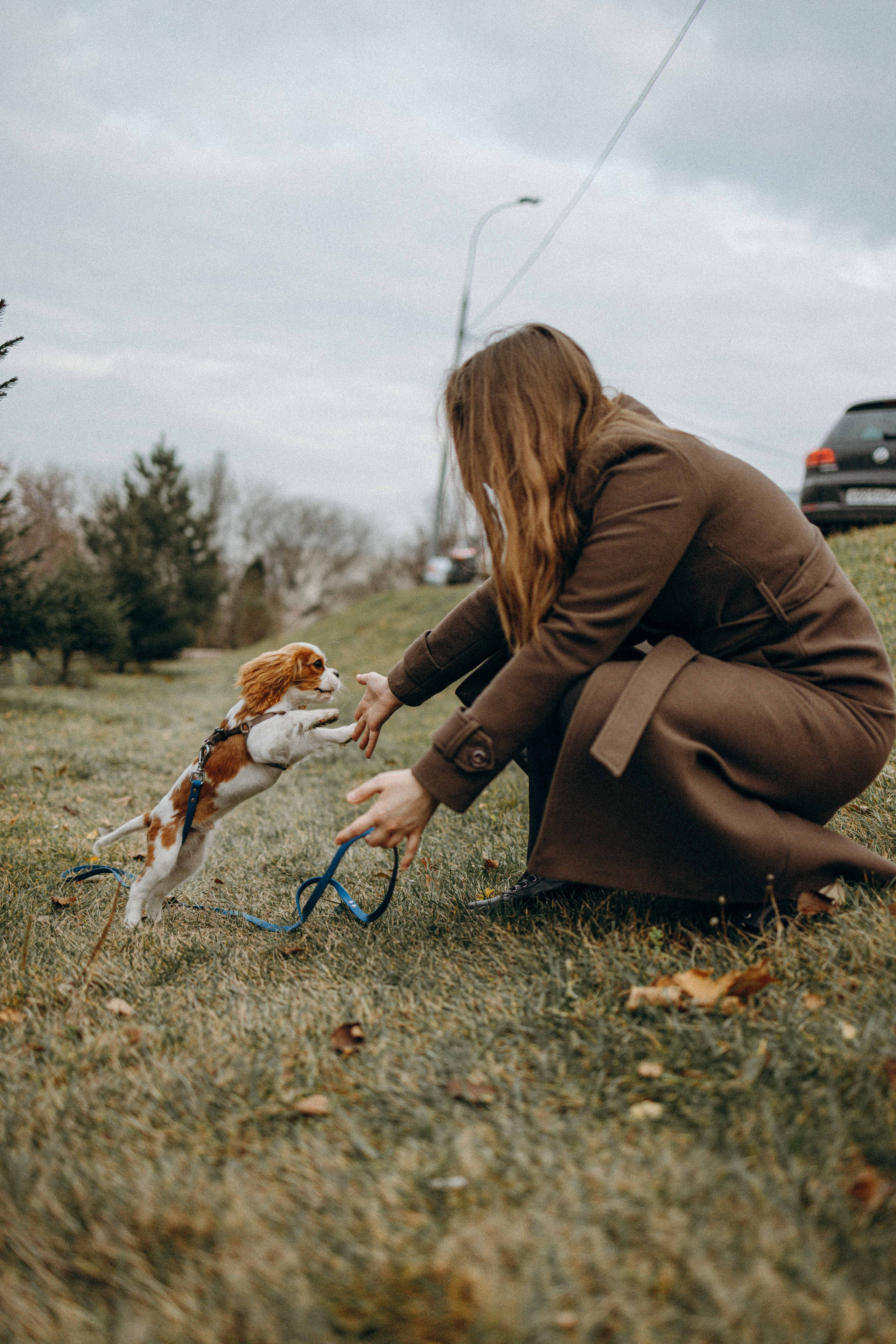 Юля и Кипр. Фотограф-анималист в Москве Лера Черноног