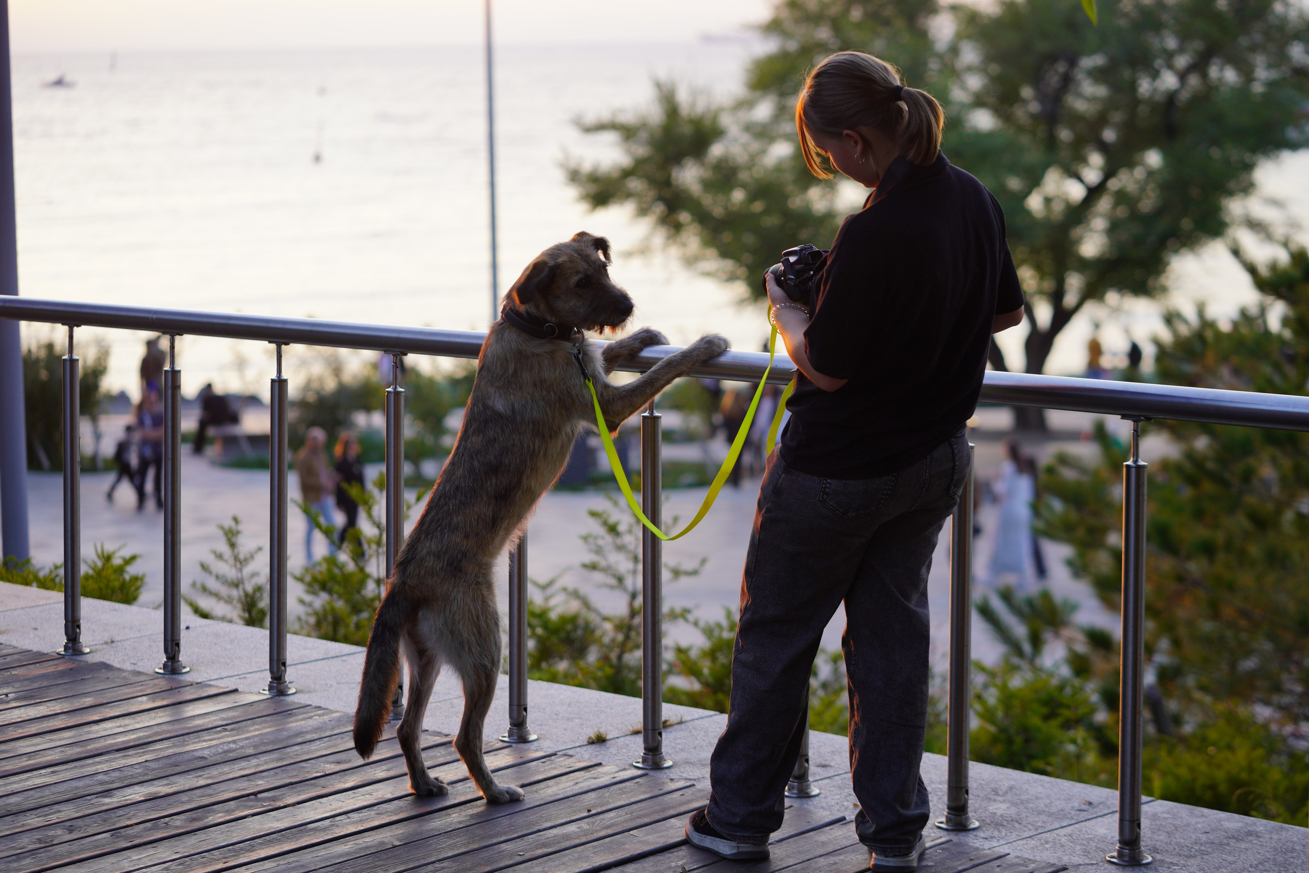 Фото девушки с собачкой. Фотограф Владивосток (художественный портрет, празднование, торжество, мероприятие, фотопрогулка)