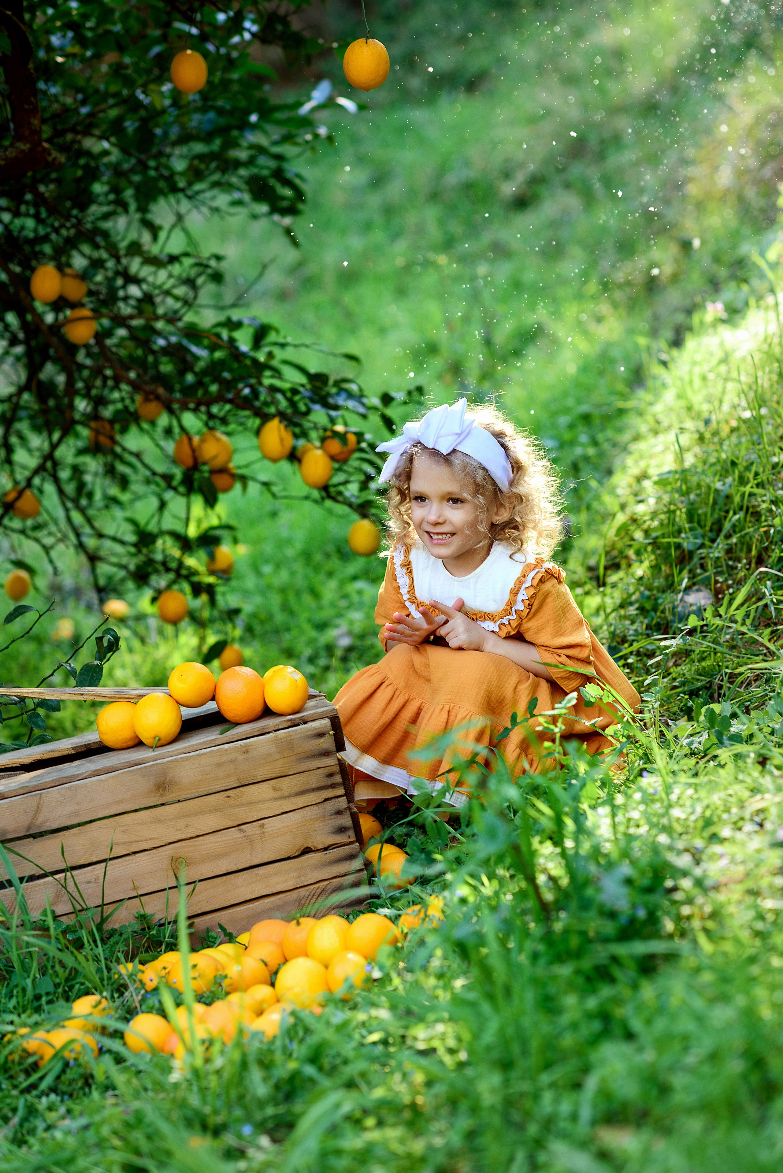 Мандариновая роща. Фотограф в Москве Lidiya_Li_Photo