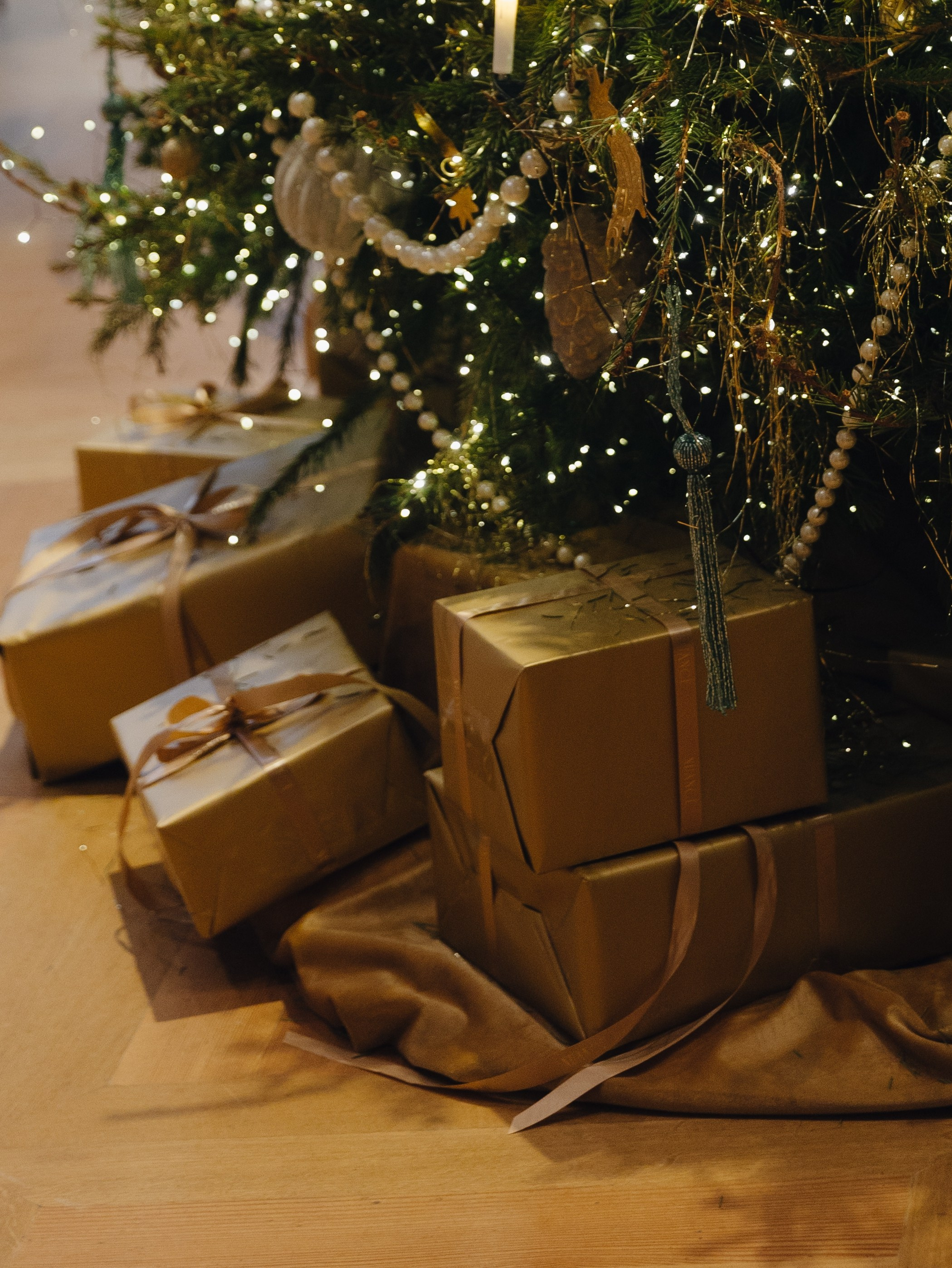 NUANCE — Ёлка. Destination wedding photographer Mary Korenchuk