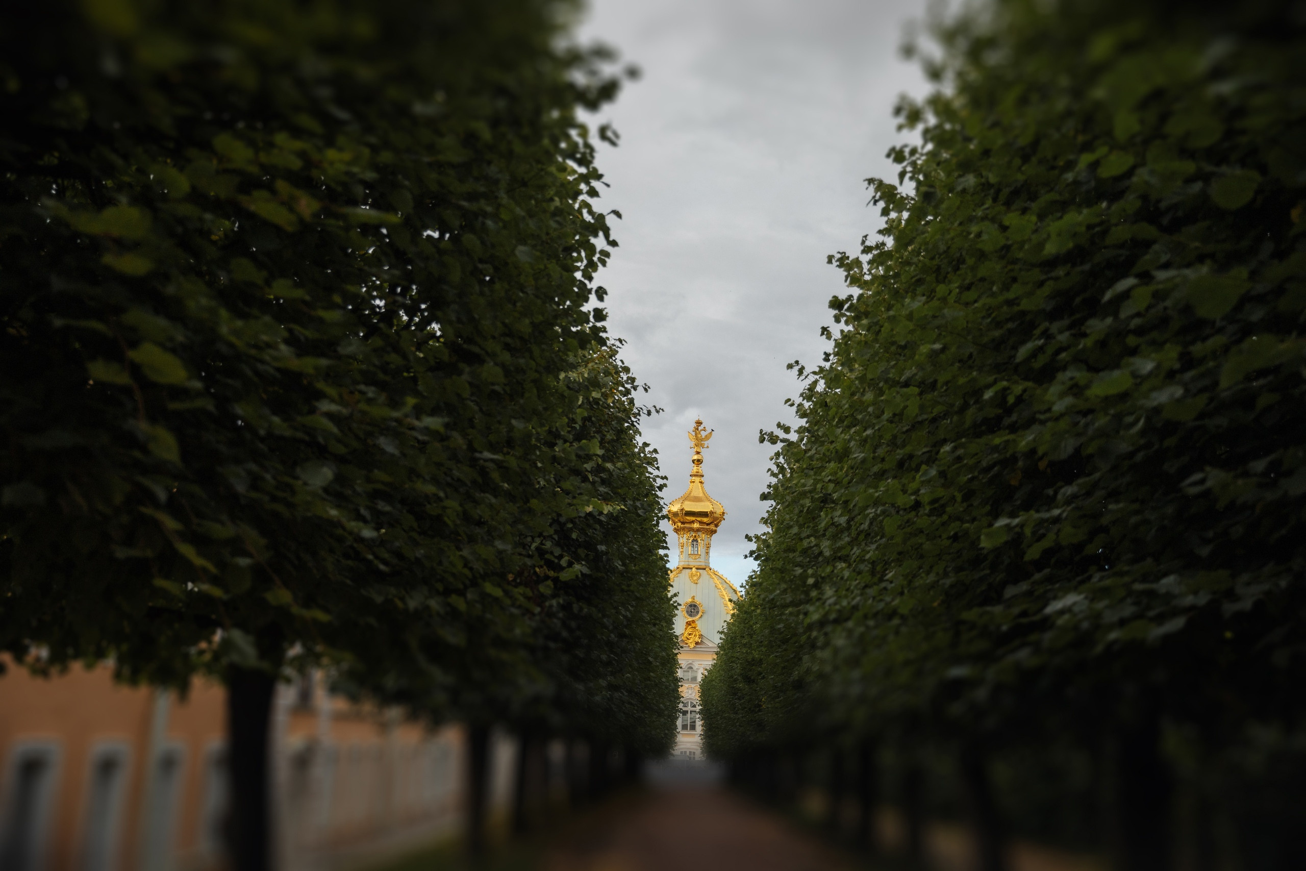 Свадебный день Насти и Вадима. Свадебный и семейный фотограф в Санкт-Петербурге Нечаев Михаил