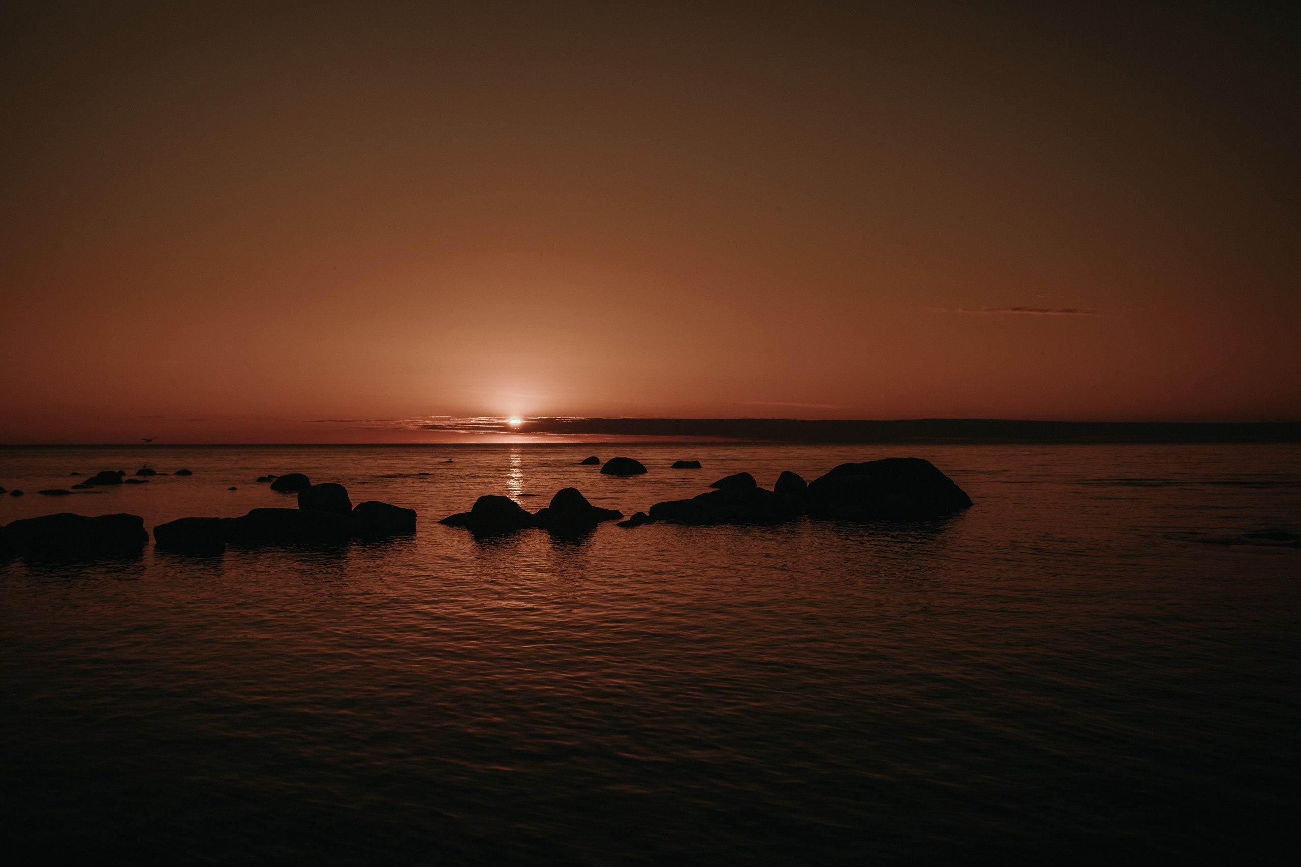 Свадебный день Родион и Юля. Свадебный и семейный фотограф в Санкт-Петербурге Нечаев Михаил