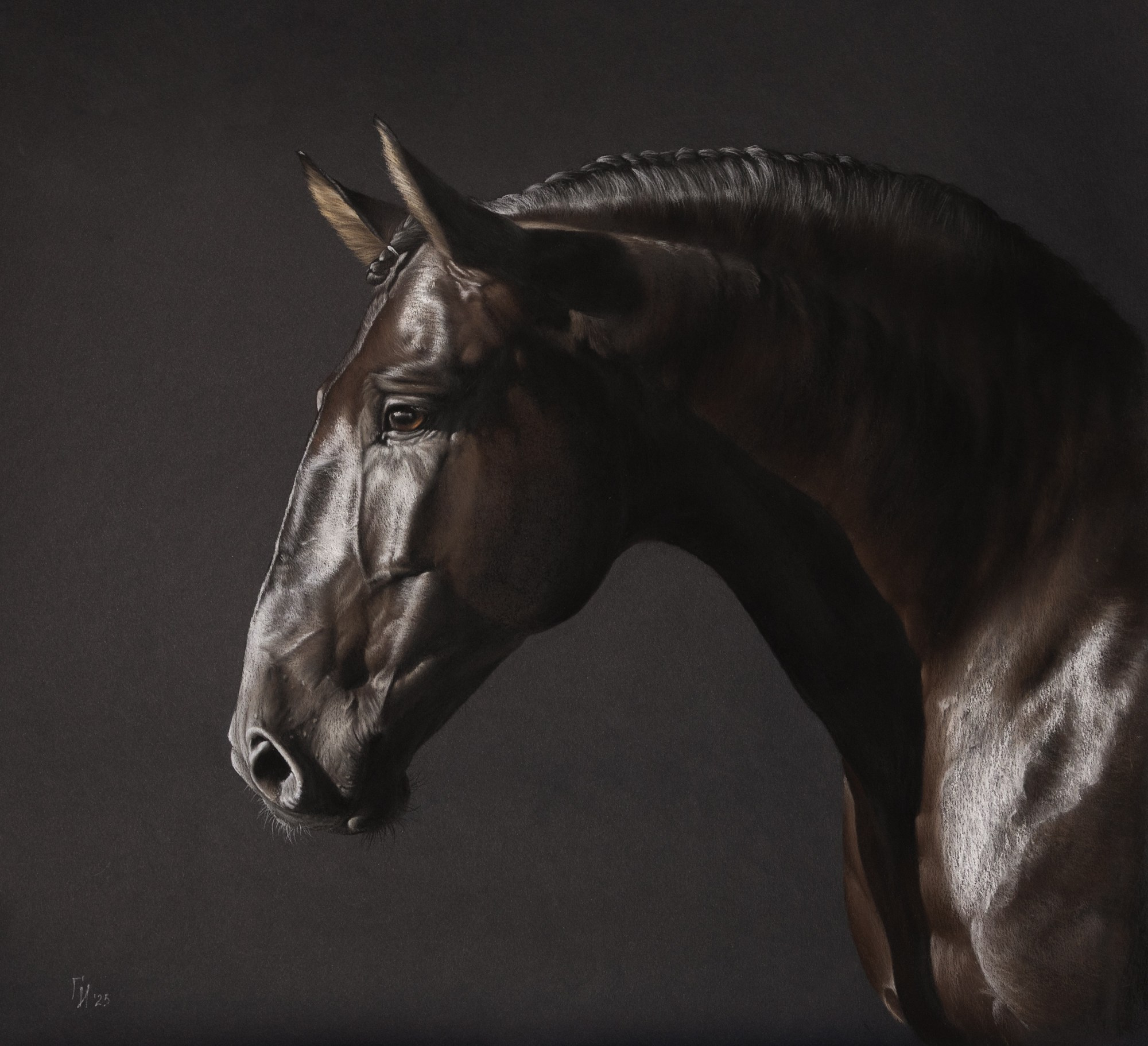 Вороной Лузитано. Пастель, 55x50см. Работа по МК