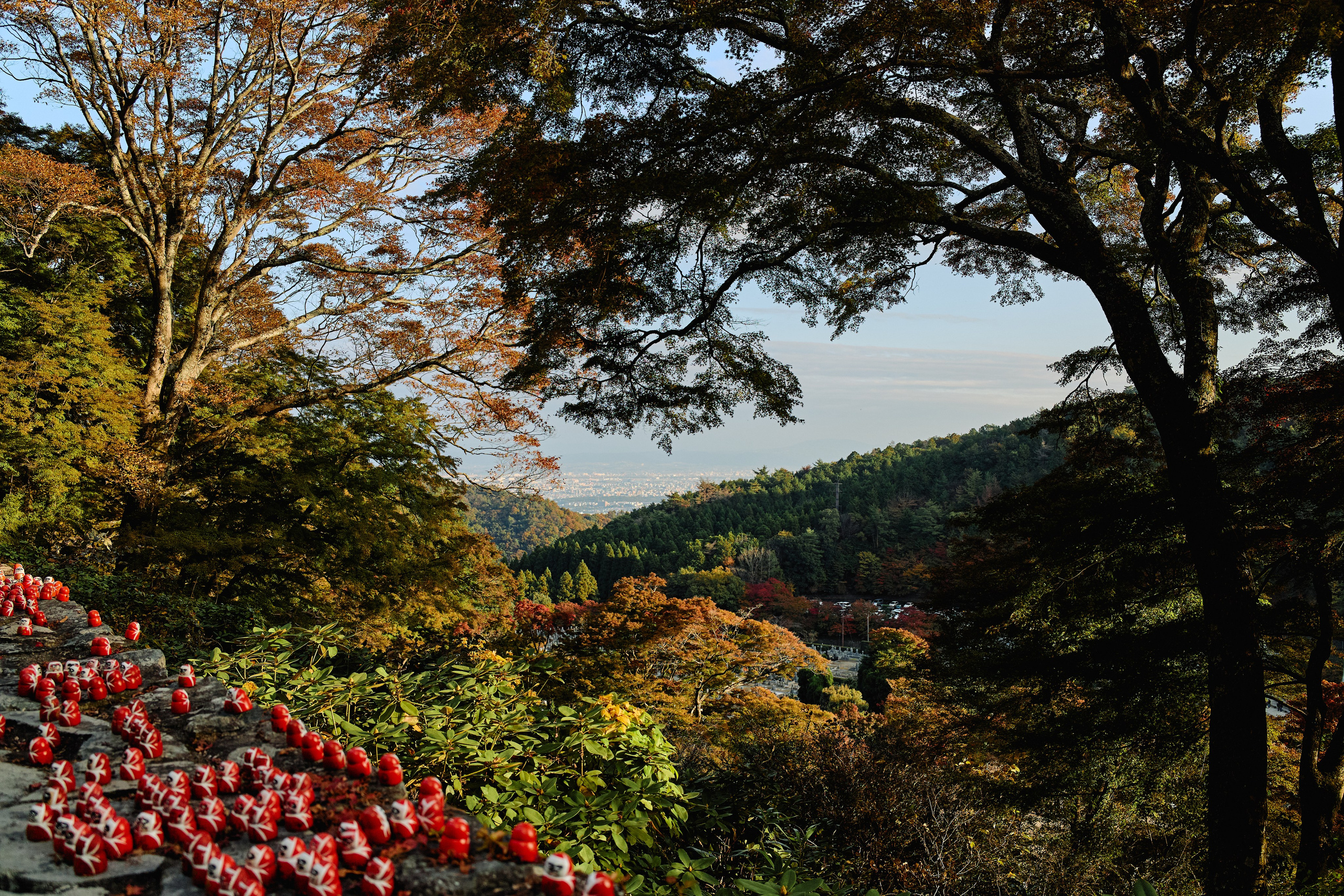 Япония. Профессиональный Фотограф во Владимире, в Москве и в Суздале — Полина Романычева