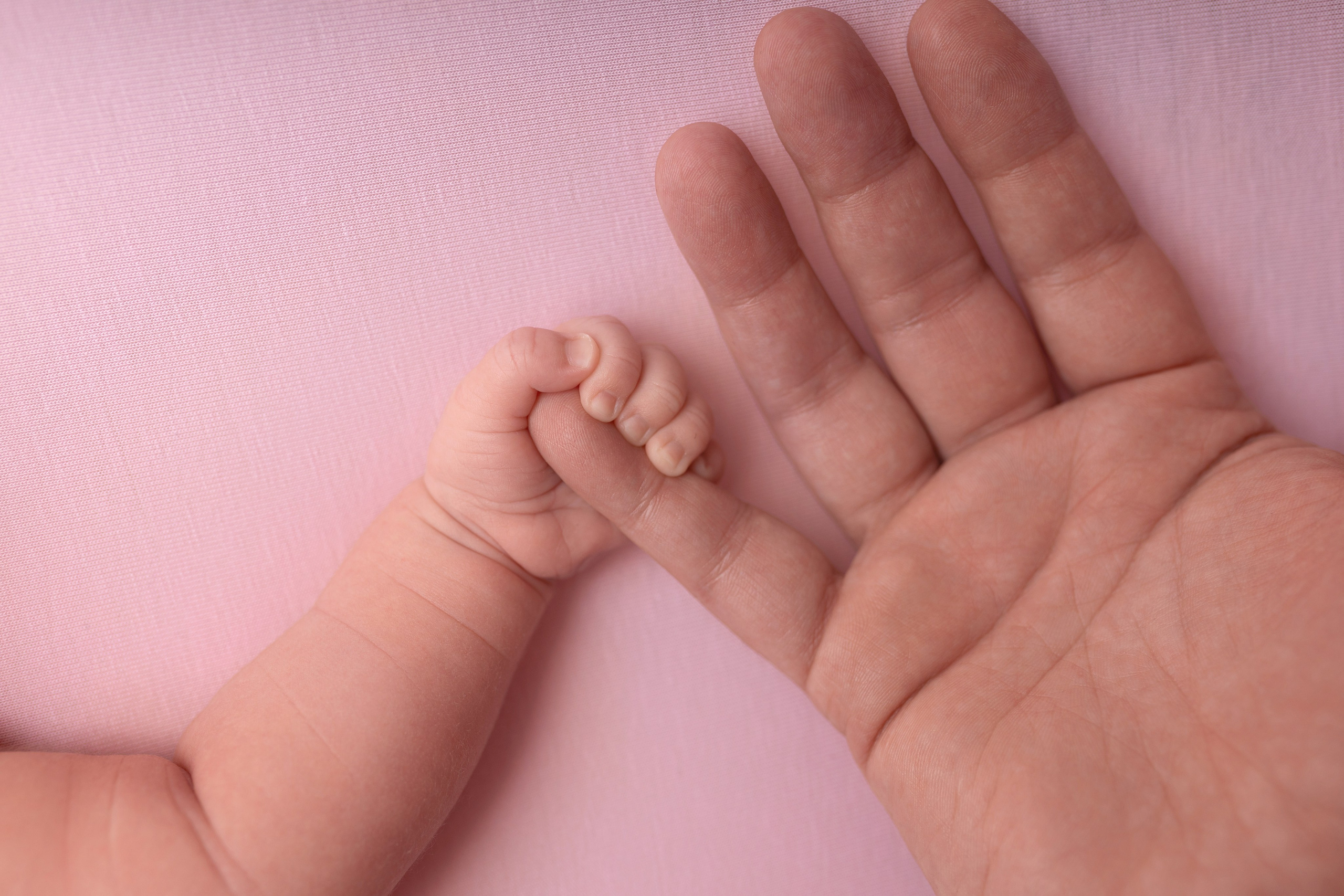 Newborn девочки. Фотограф новорожденных Модяева Ирина