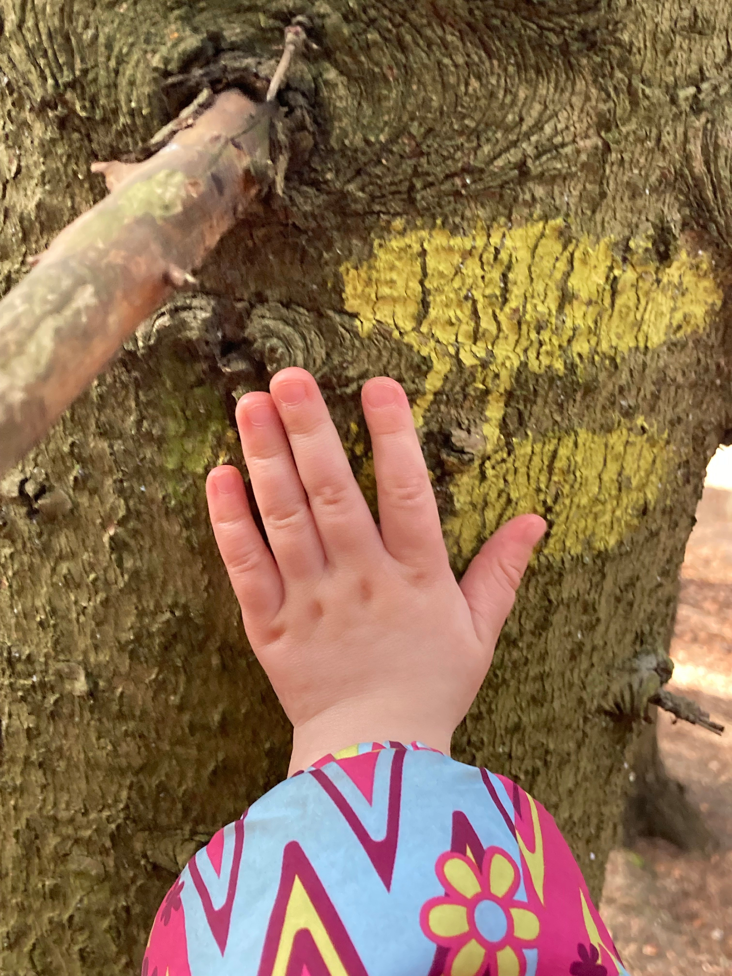 Дети. Смотри, красота!