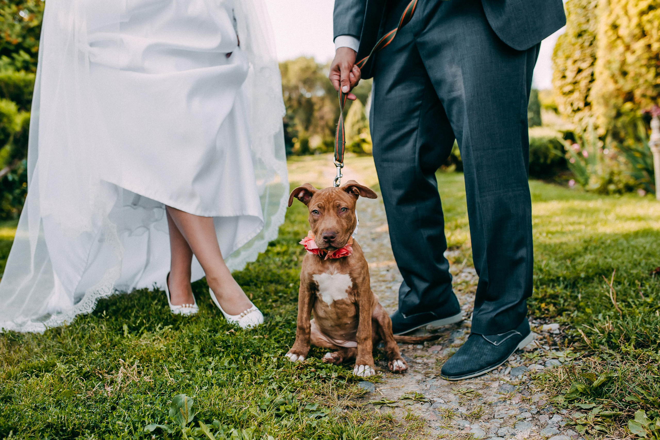Wedding. Свадебный и семейный фотограф в Алматы Laura Dosmann