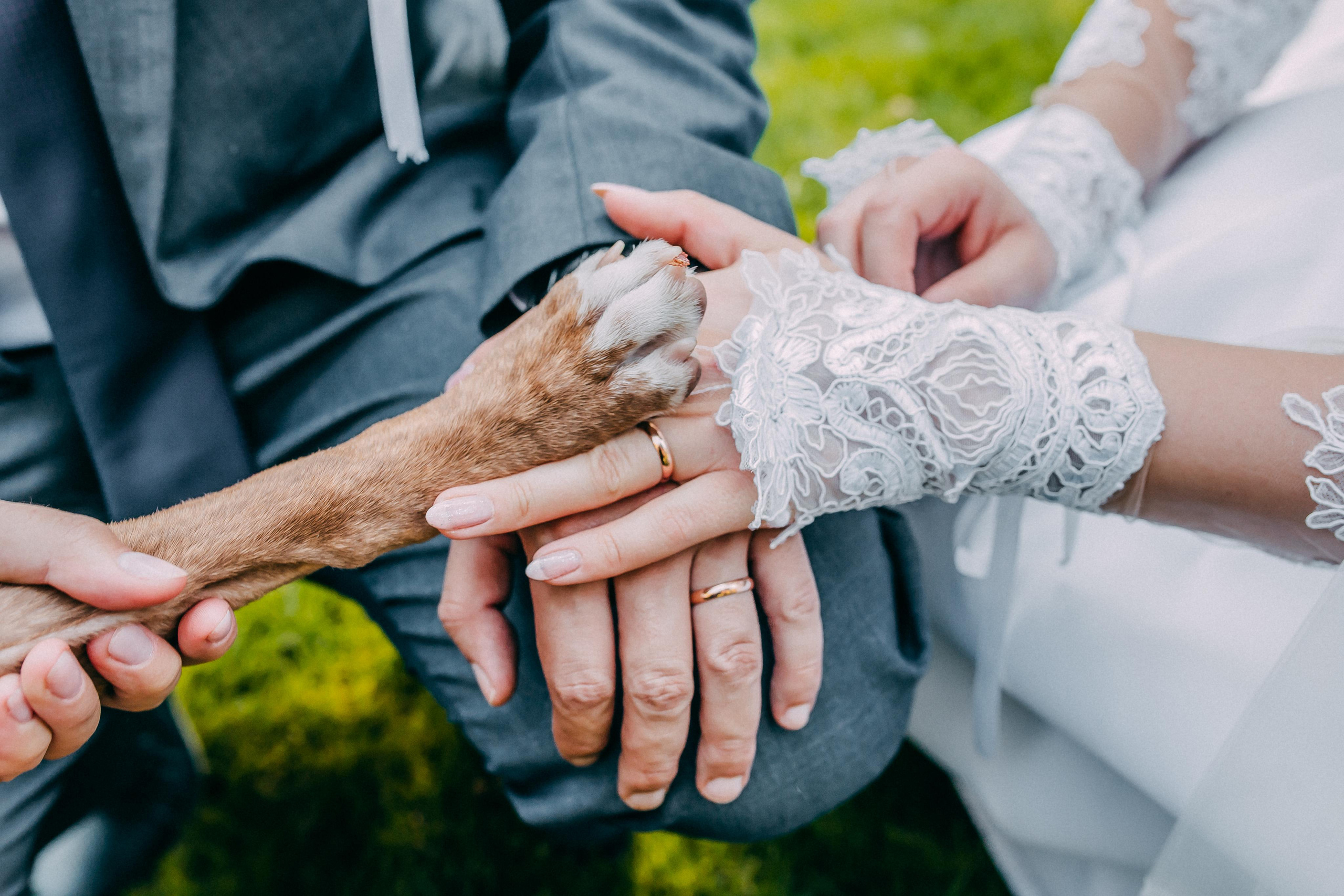 Wedding. Свадебный и семейный фотограф в Алматы Laura Dosmann