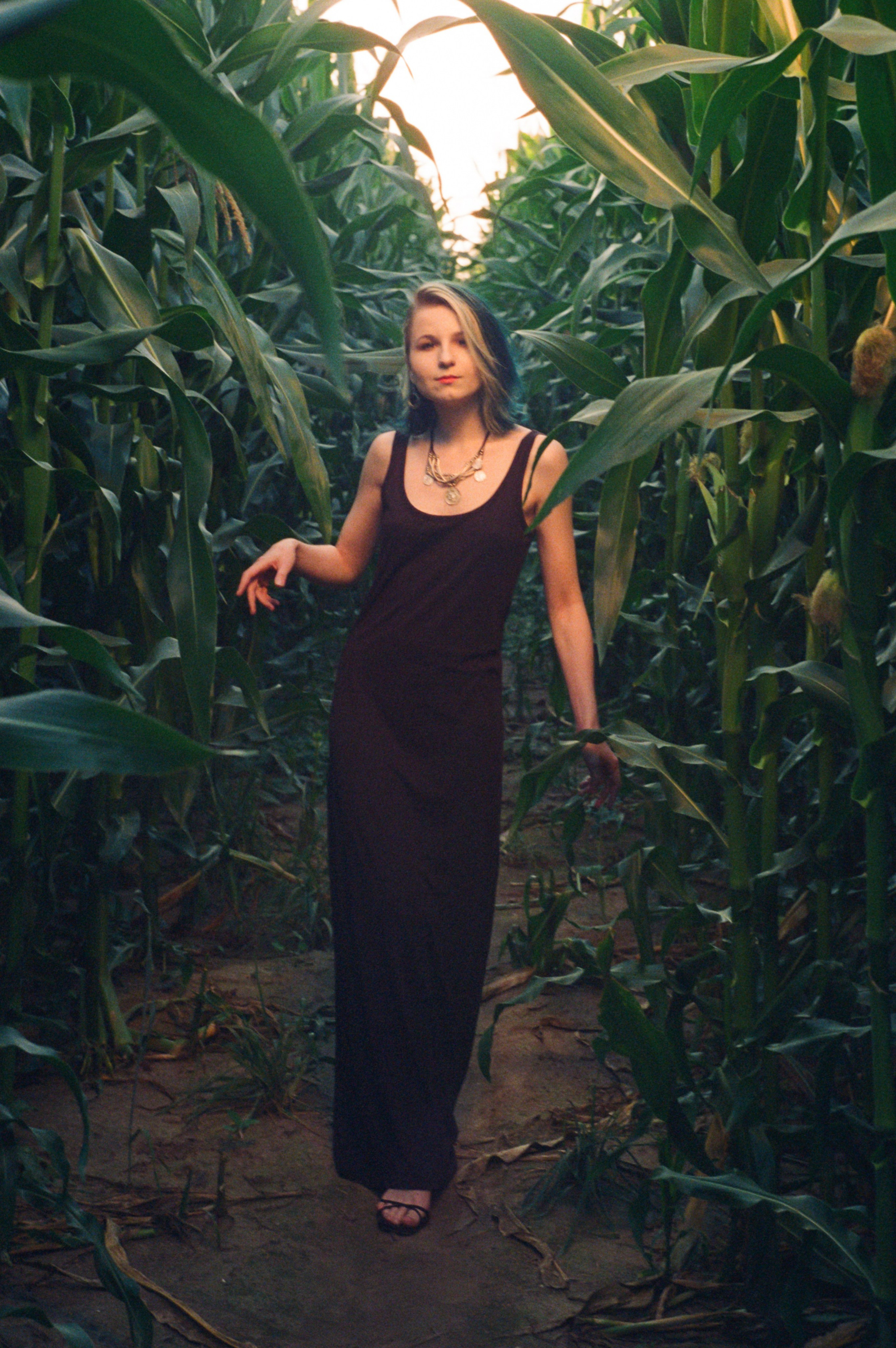 В кукурузе…. Стас Никоненко • Кинооператор • Фотограф