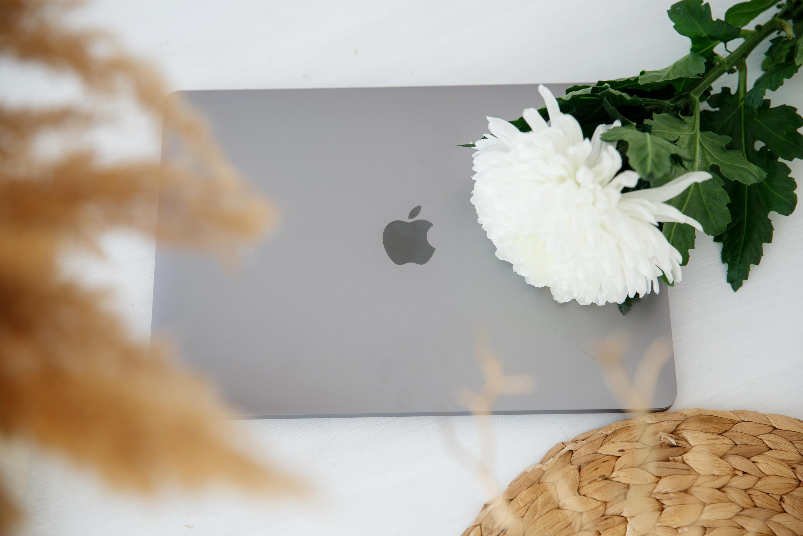 Светлана. Наставник, психолог, для тех кто хочет кратно вырасти в доходе. Женский и контент фотограф Люба Пунанцева. Северодвинск. Архангельск