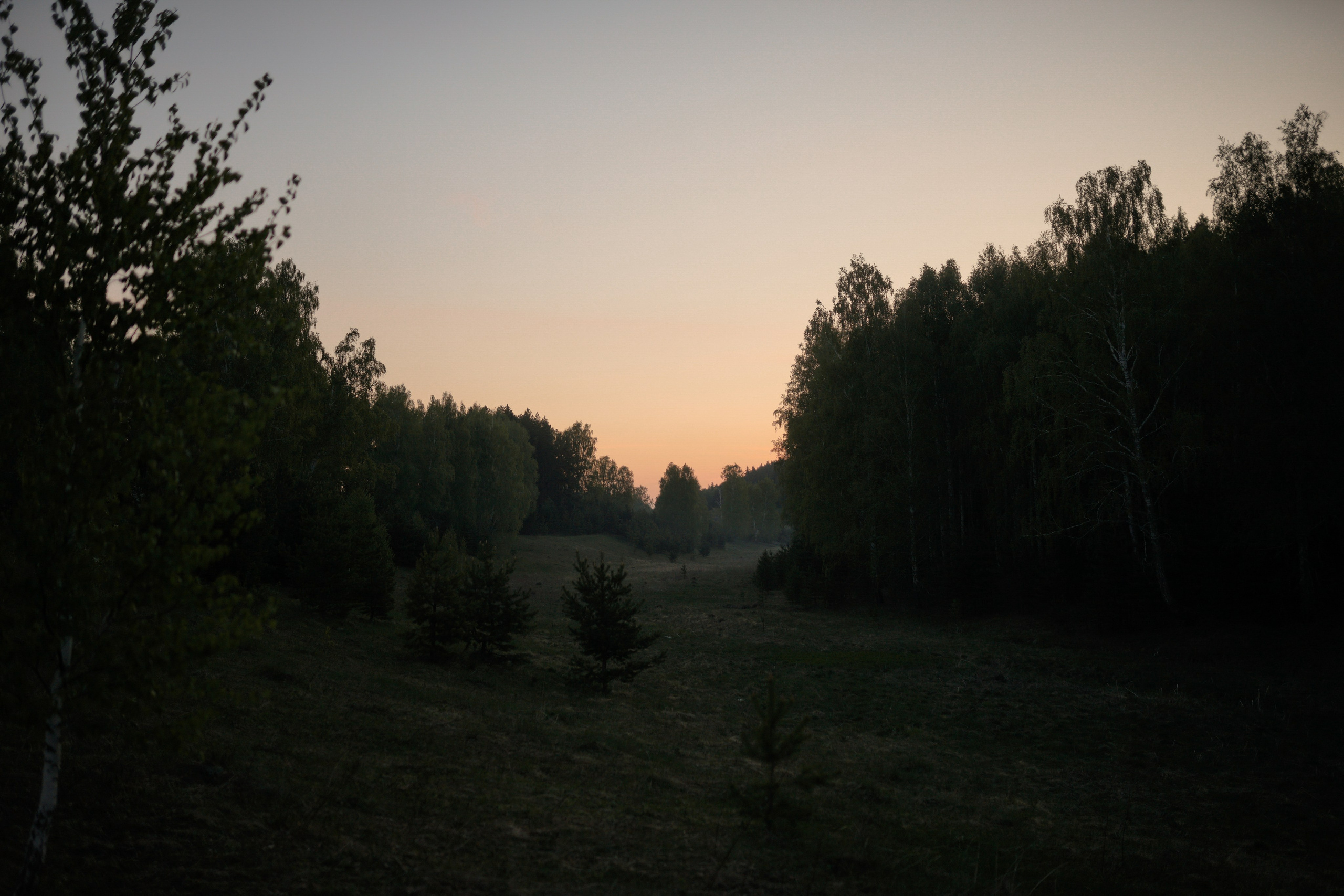 Первый рассвет