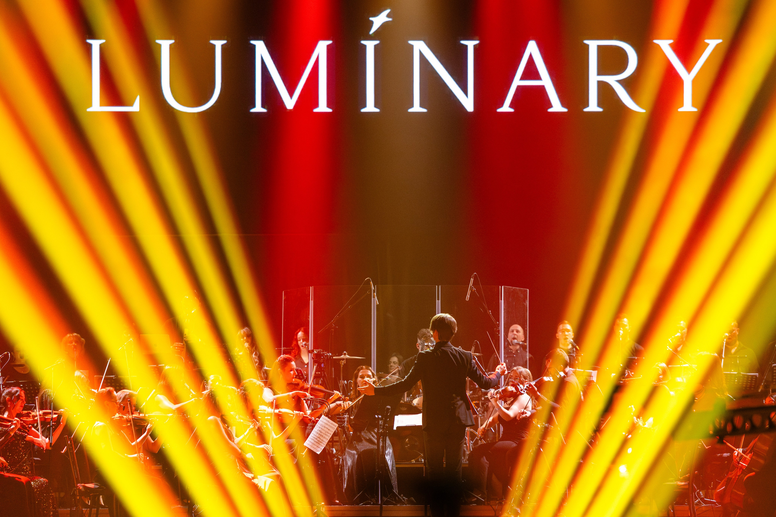 Luminary Баскет-Холл. Руслан Плахтеев