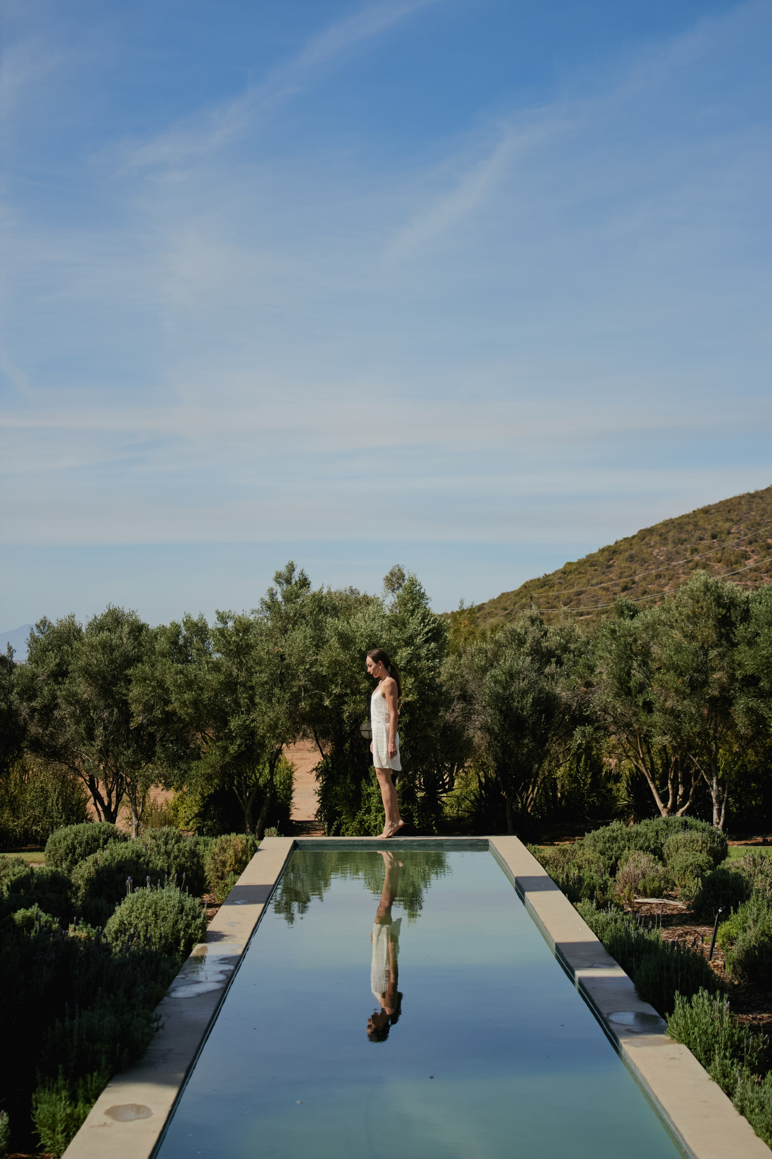 ЮАР. Профессиональный Фотограф во Владимире, в Москве и в Суздале — Полина Романычева