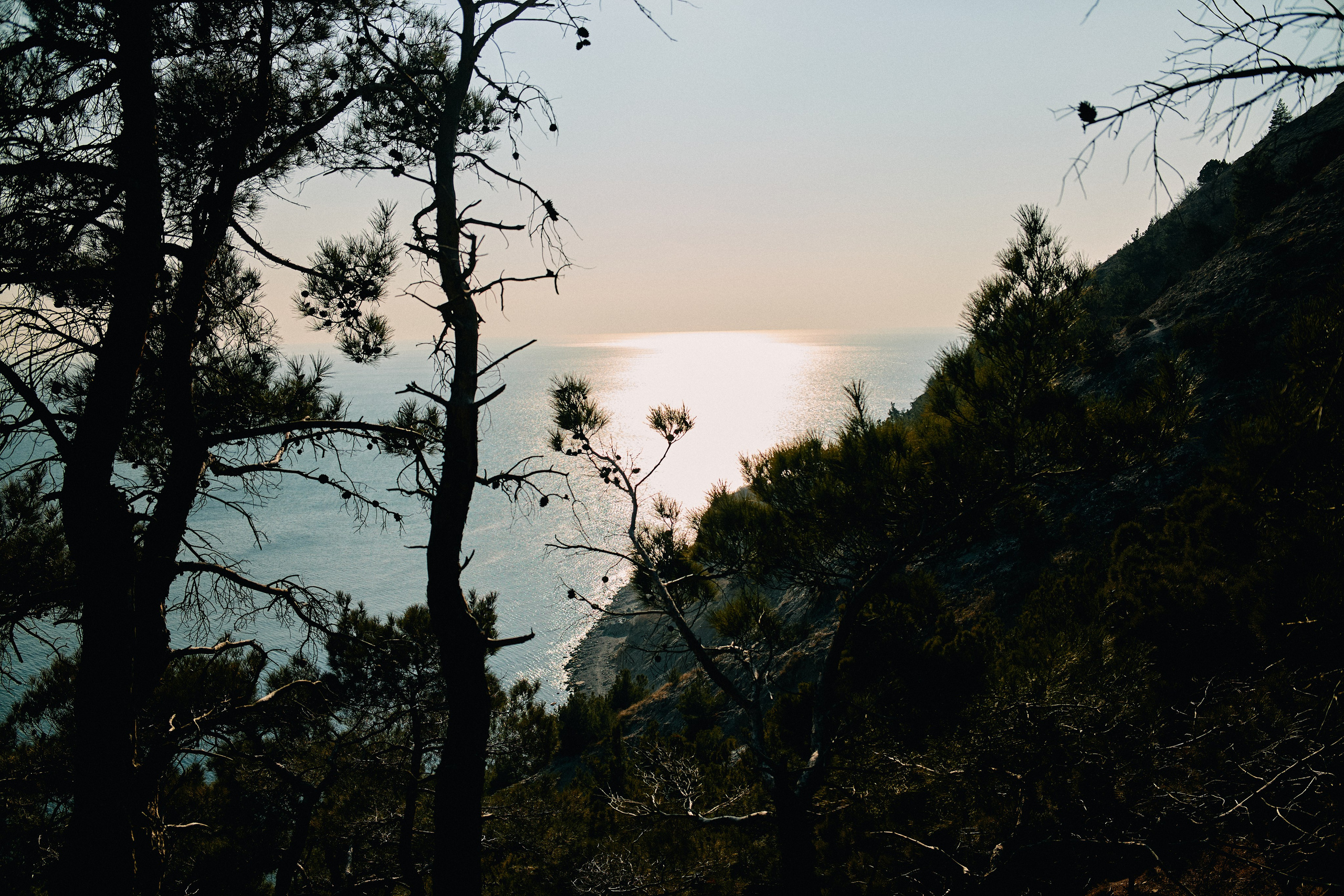 Юг России. Профессиональный Фотограф во Владимире, в Москве и в Суздале — Полина Романычева