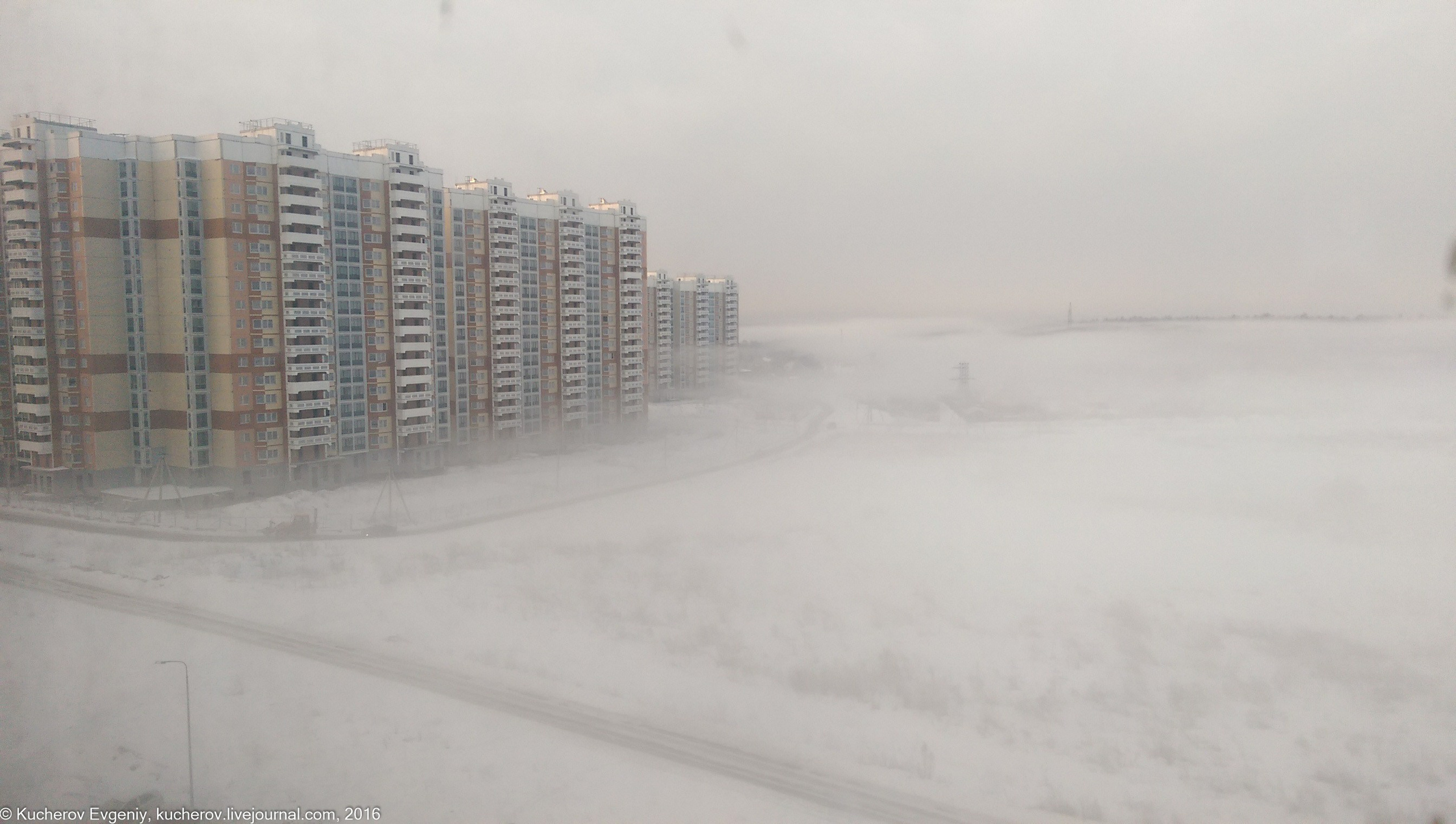 Туман. Кучеров Евгений. Фотограф