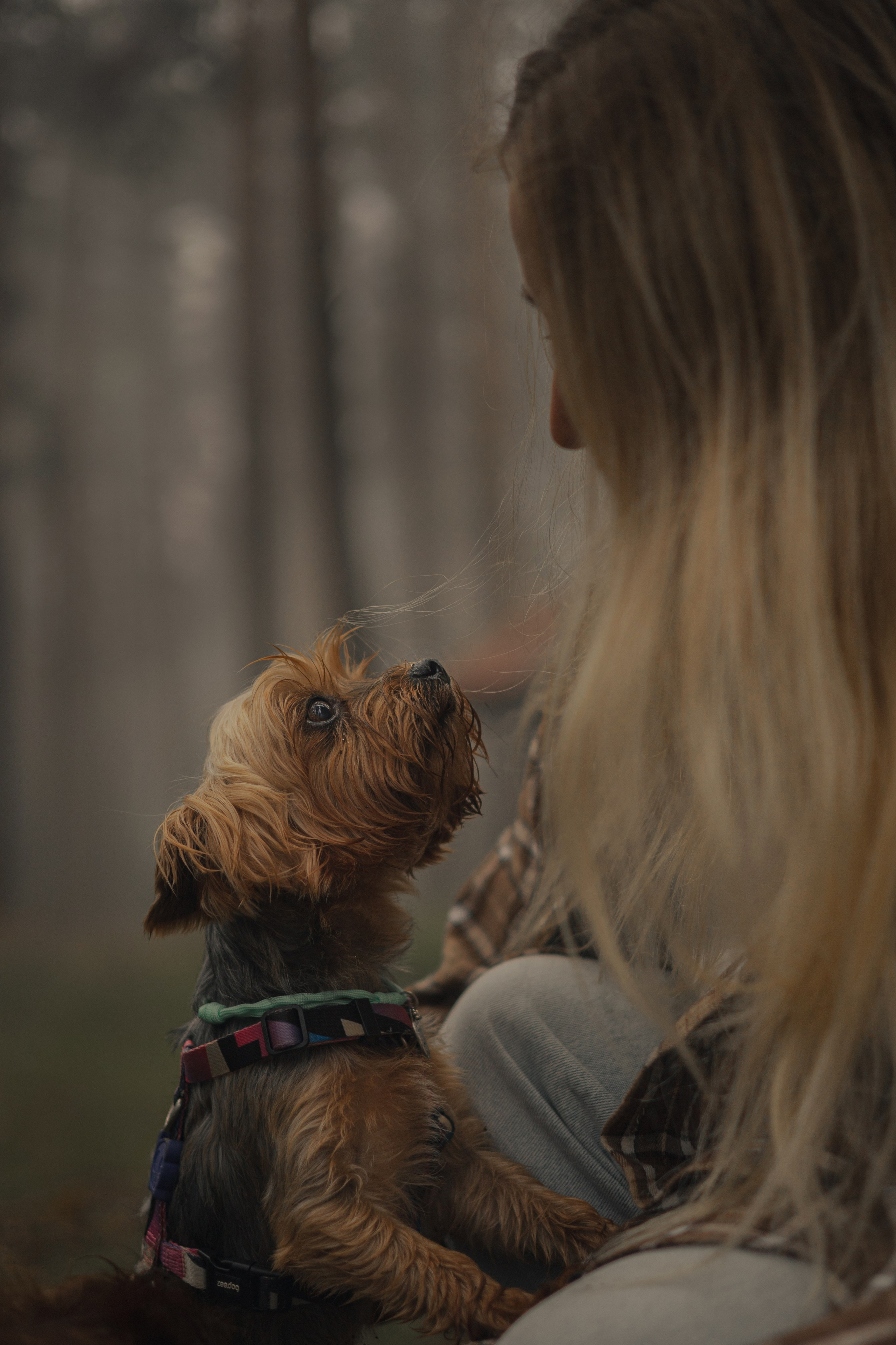 Наташа & Оззи & Йоша. Фотограф — анималист •love-story•|Санкт-Петербург